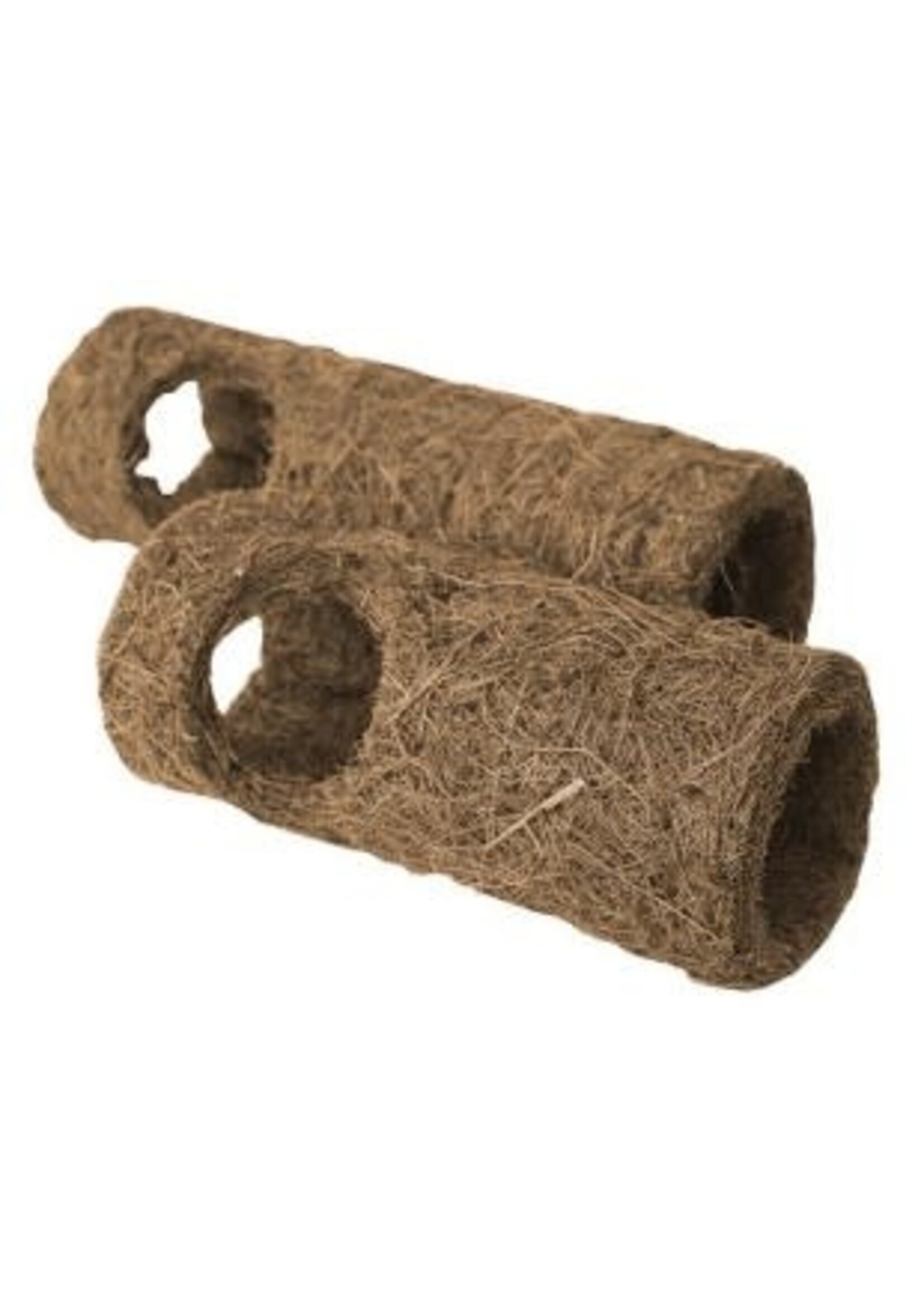 Komodo Komodo Tropical Tunnel