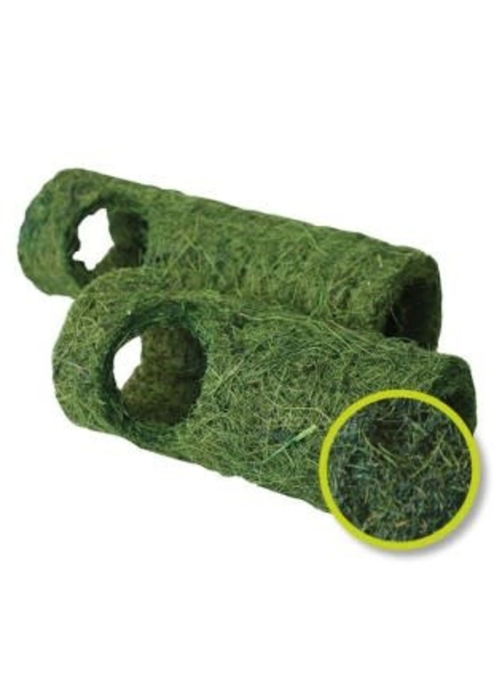 Komodo Komodo Tropical Tunnel