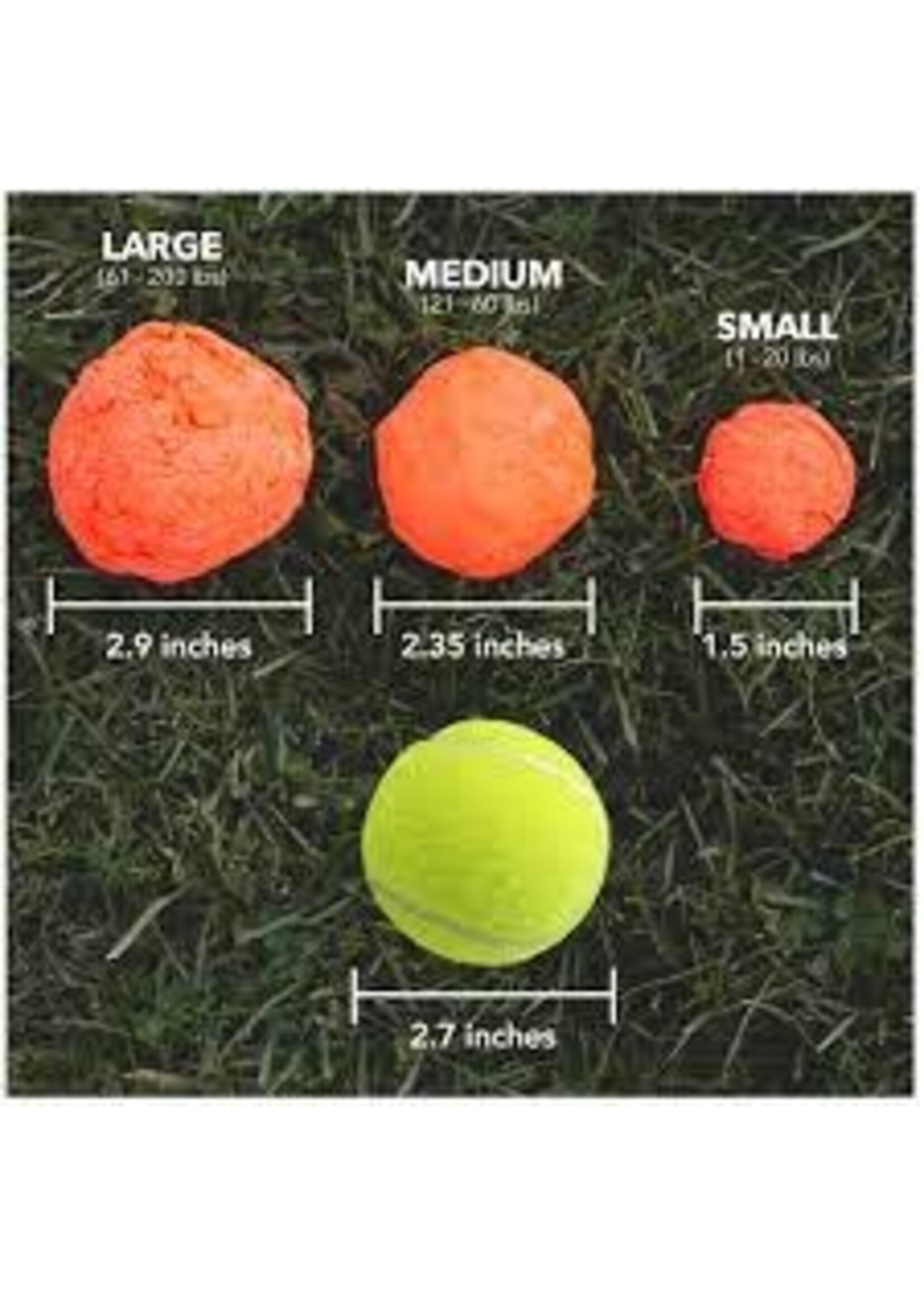 A Wacky walk'r Products WUNDERball Assorted