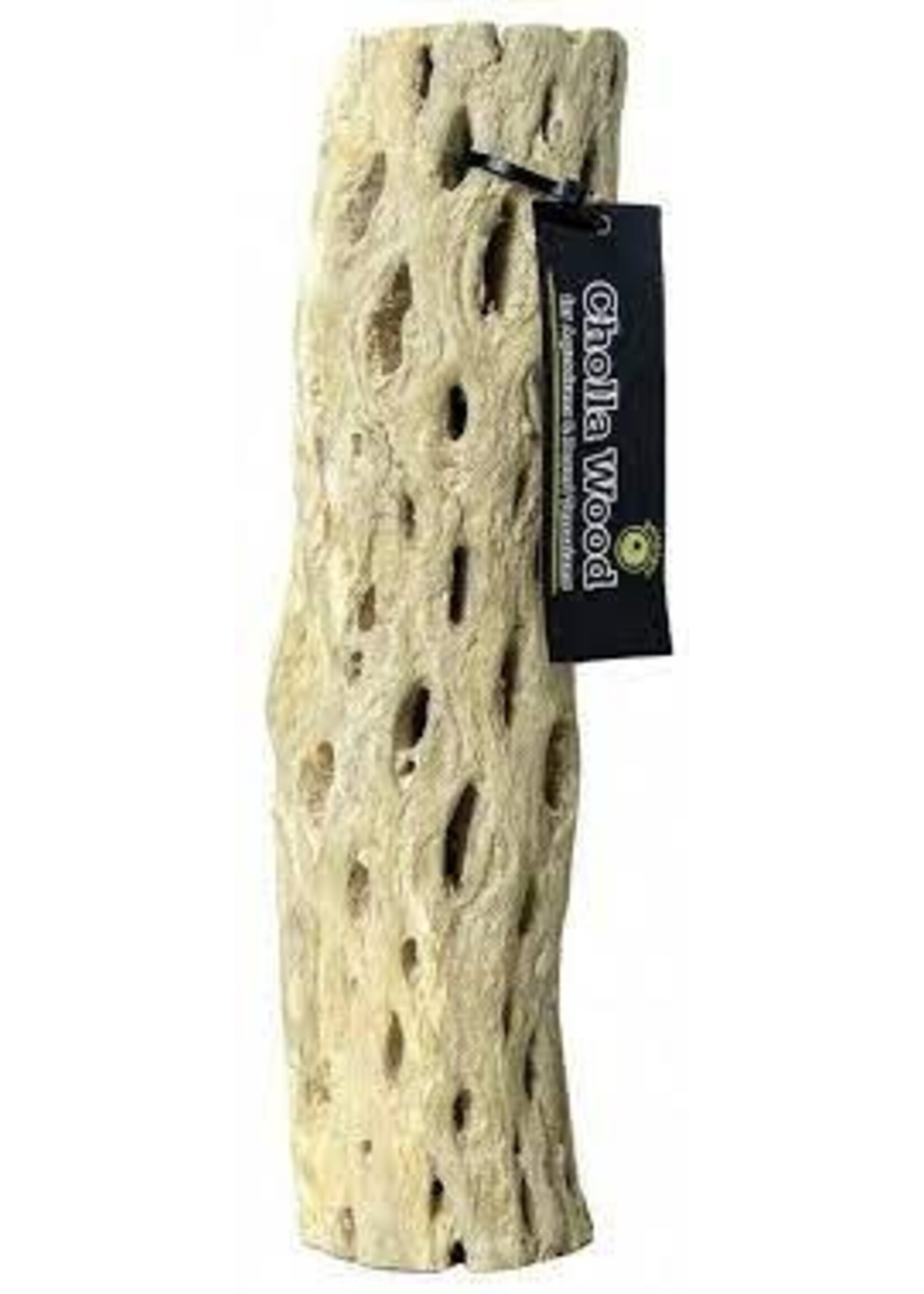 Galapagos Galapagos Cholla Wood