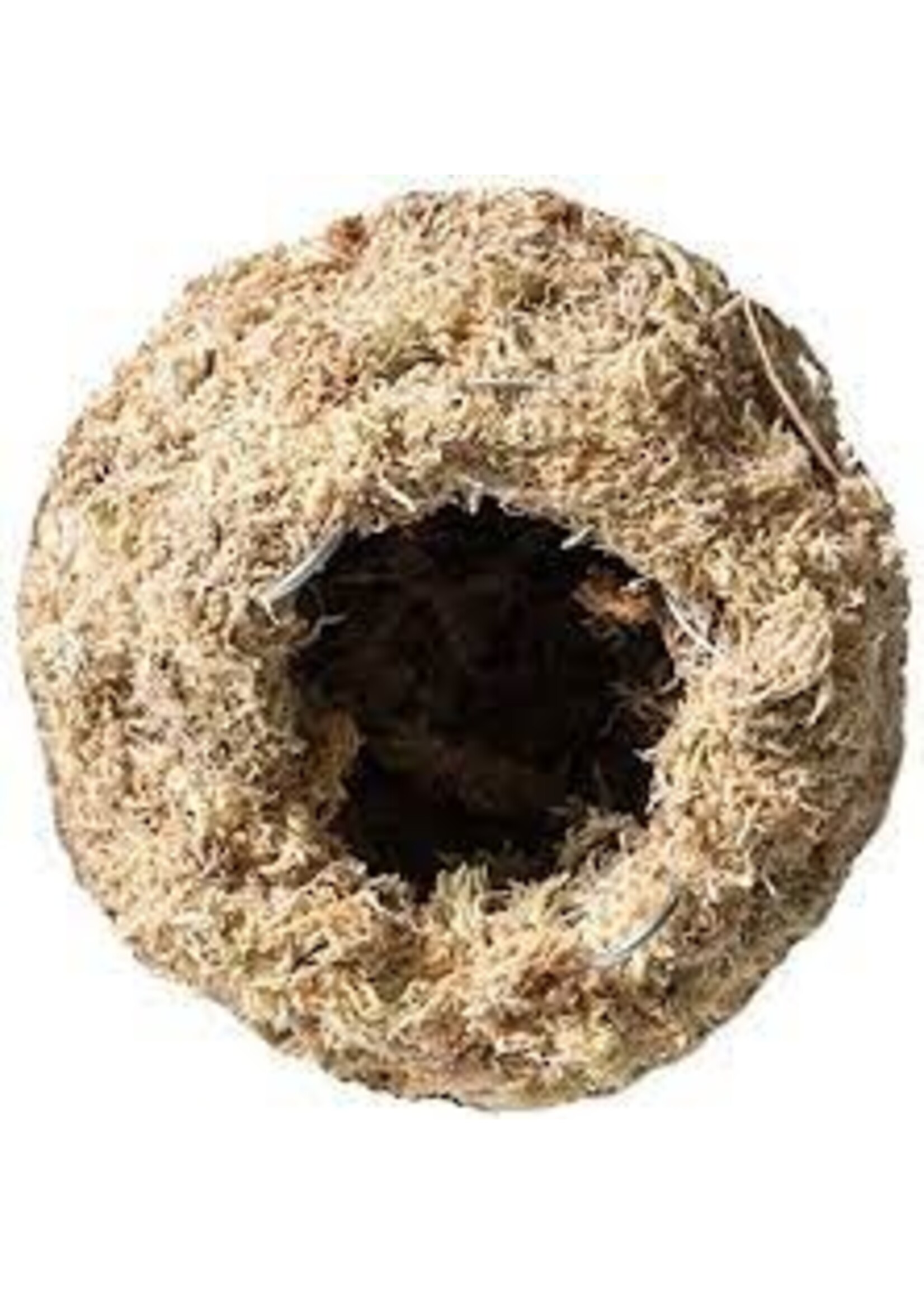 Galapagos Galapagos Mossy Caves Blond