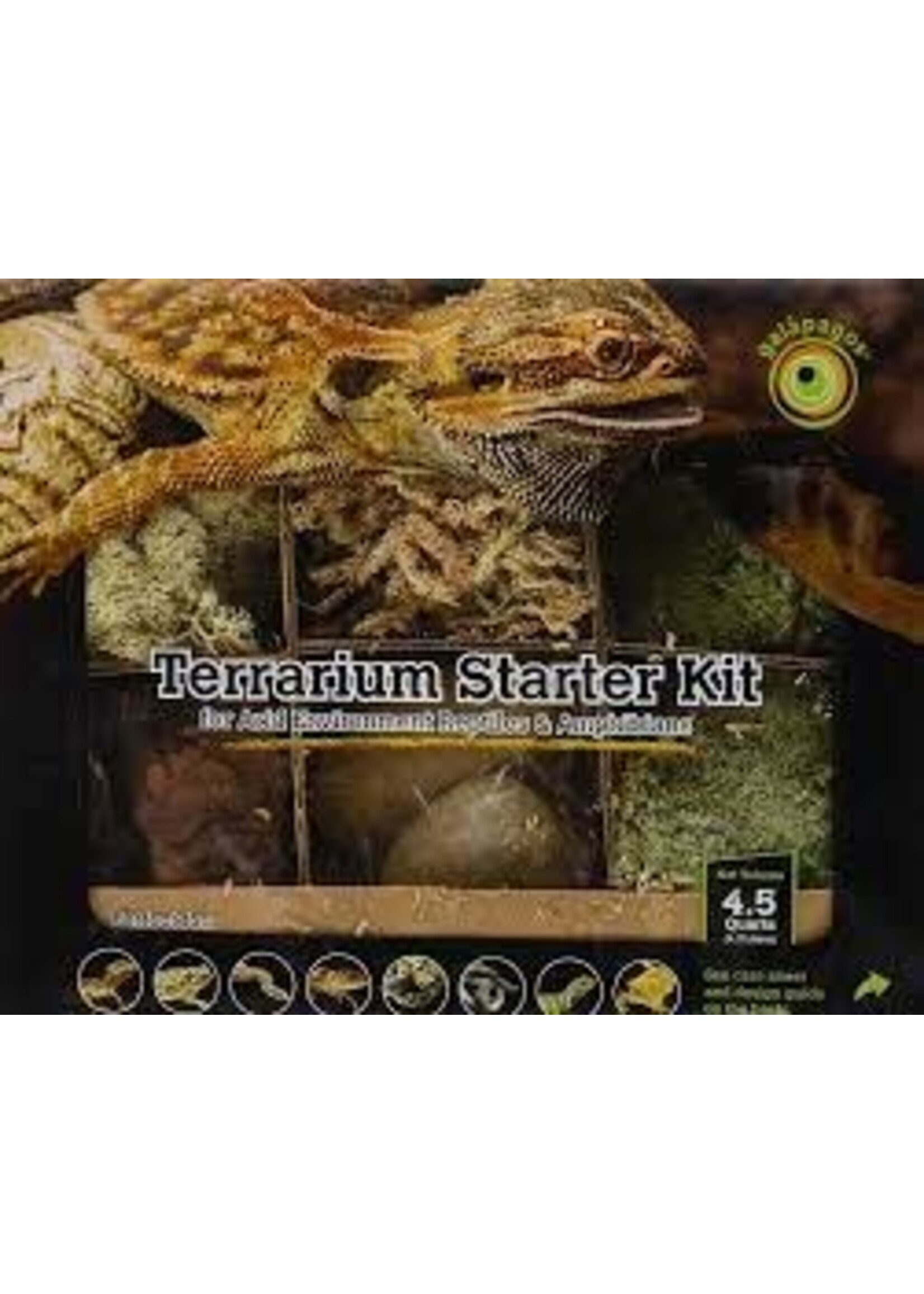Galapagos Galapagos Terrarium Starter Kit Arid Environment 4.5qt box