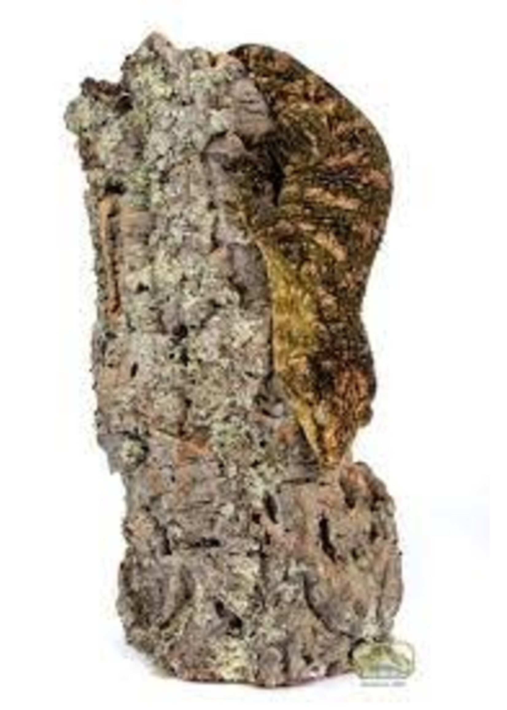 NewCal NewCal Cork Rounds