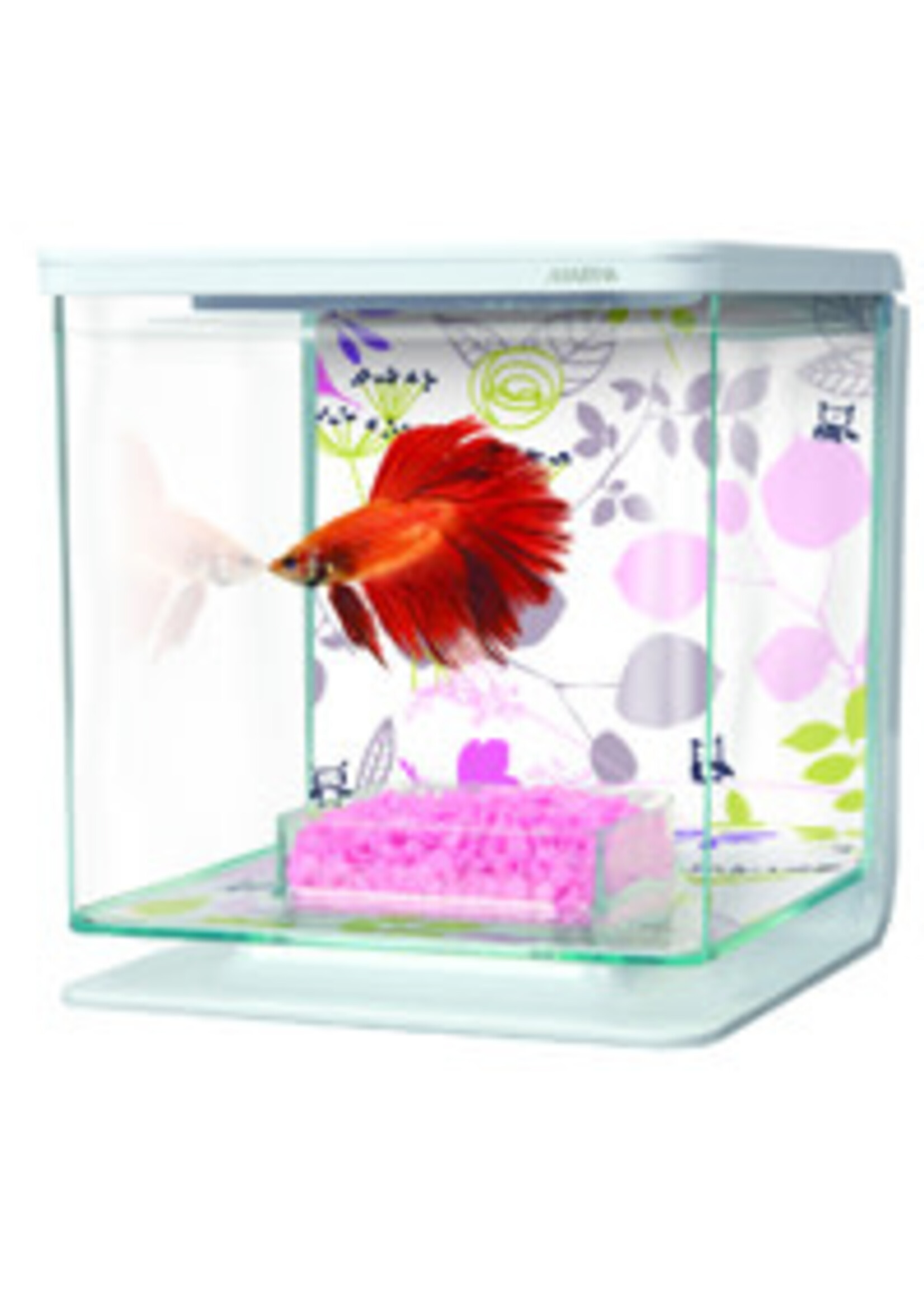 Marina Marina Betta Kit