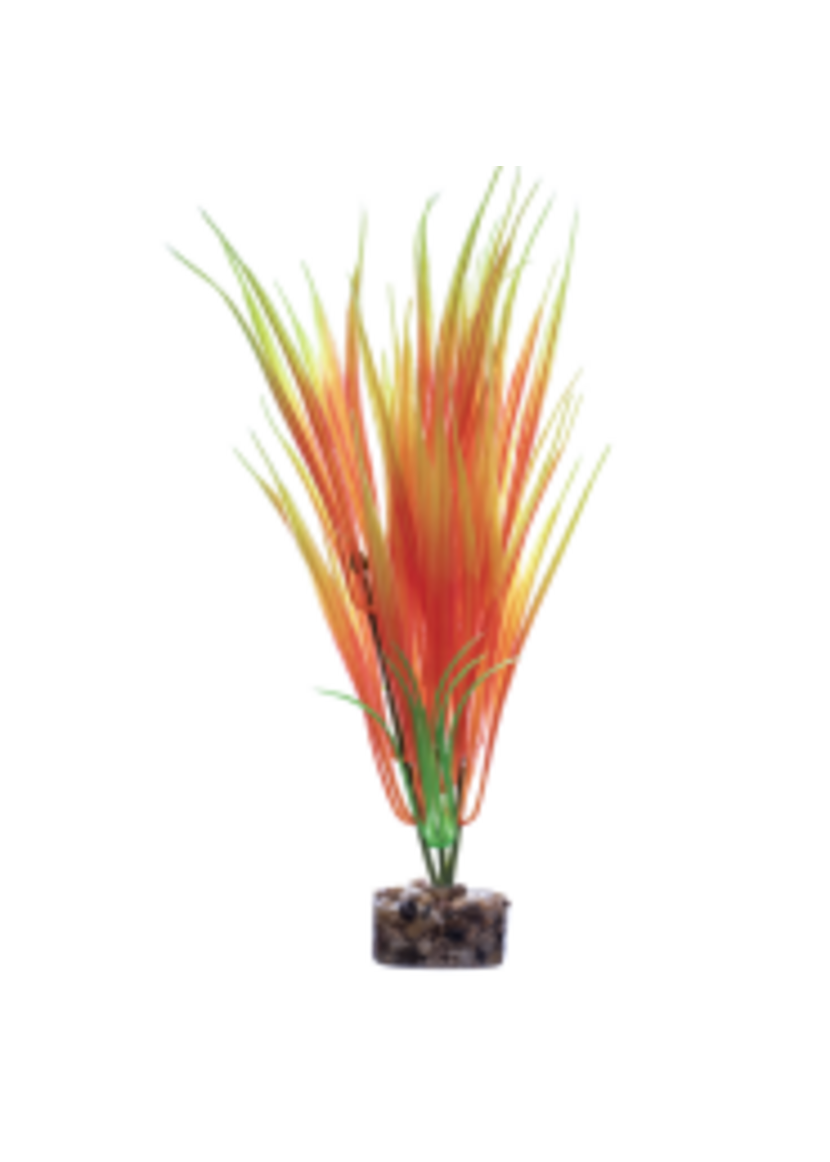 Tetra Tetra GloFish Plant Medium