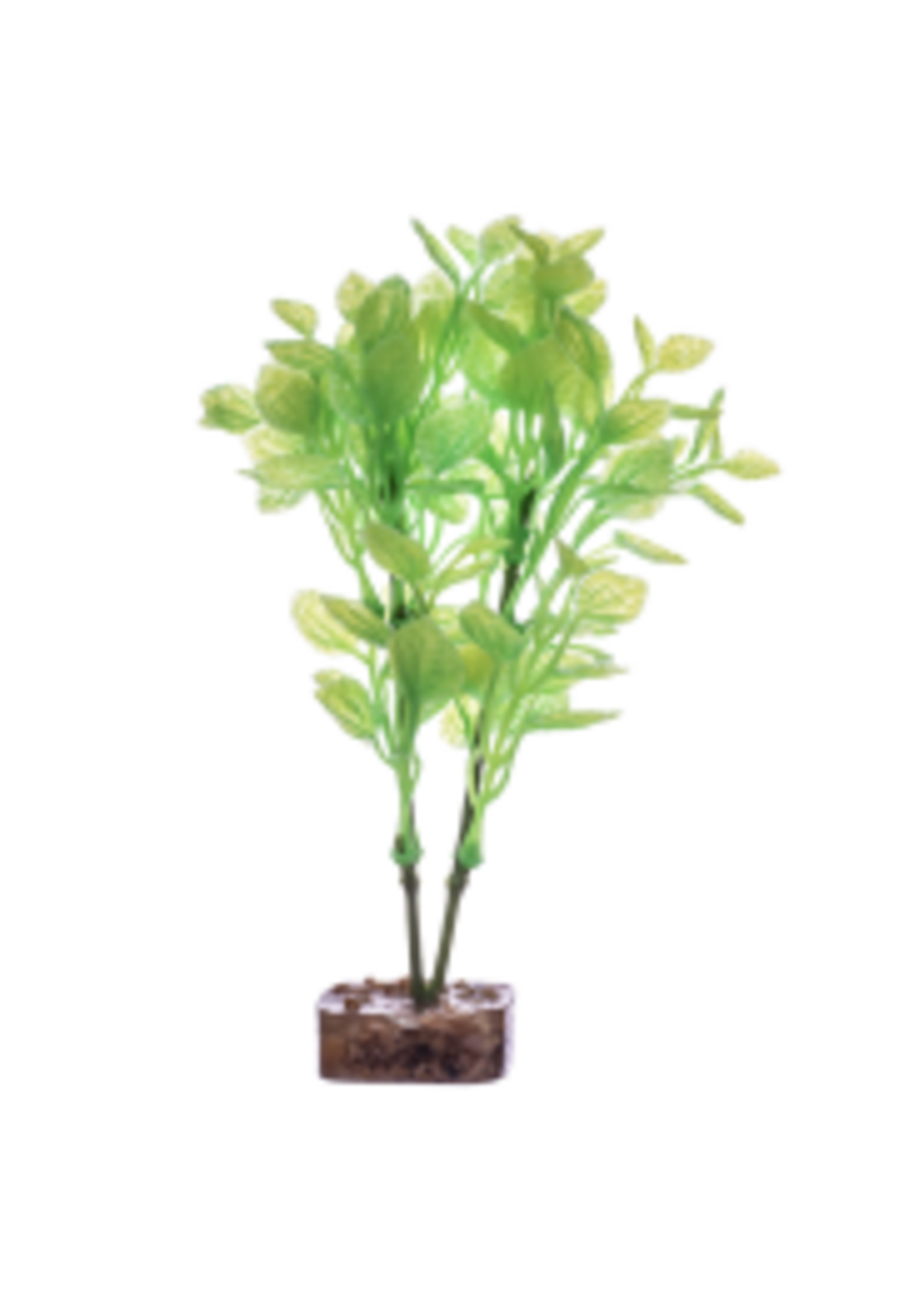 Tetra Tetra GloFish Plant Medium