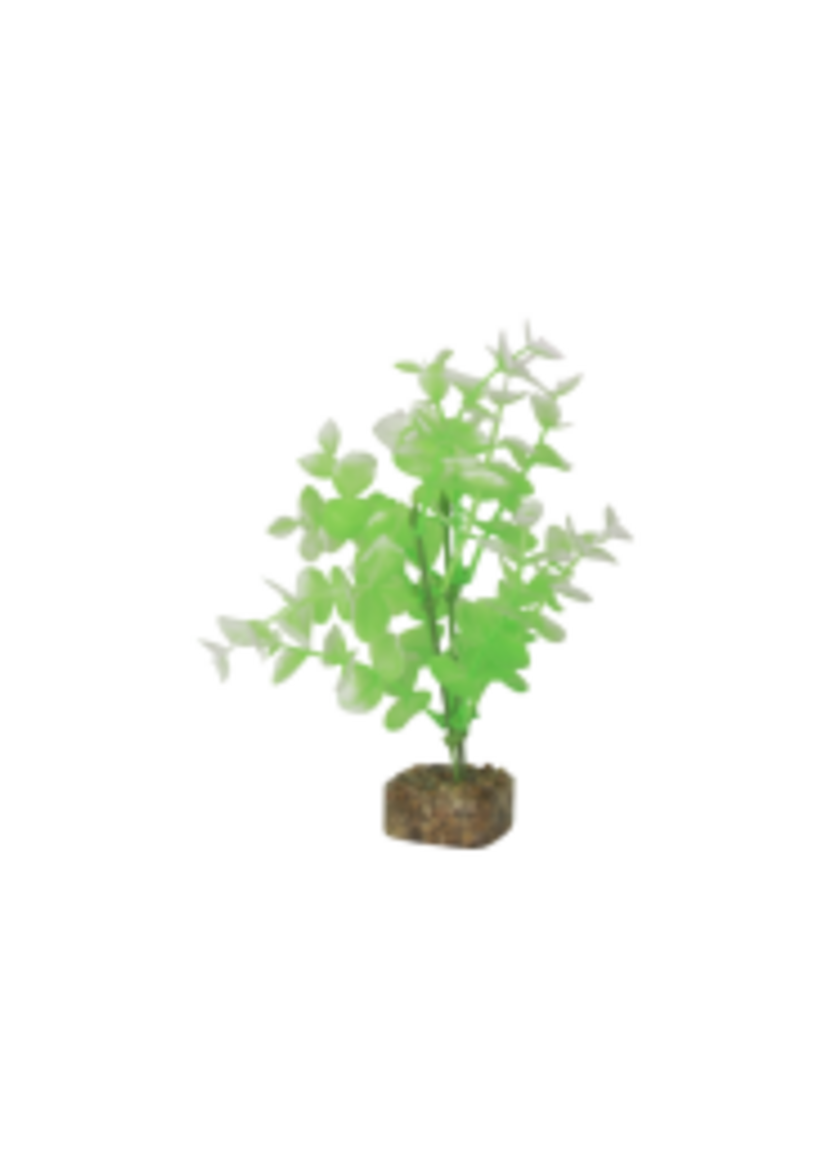 Tetra Tetra GloFish Plant Medium
