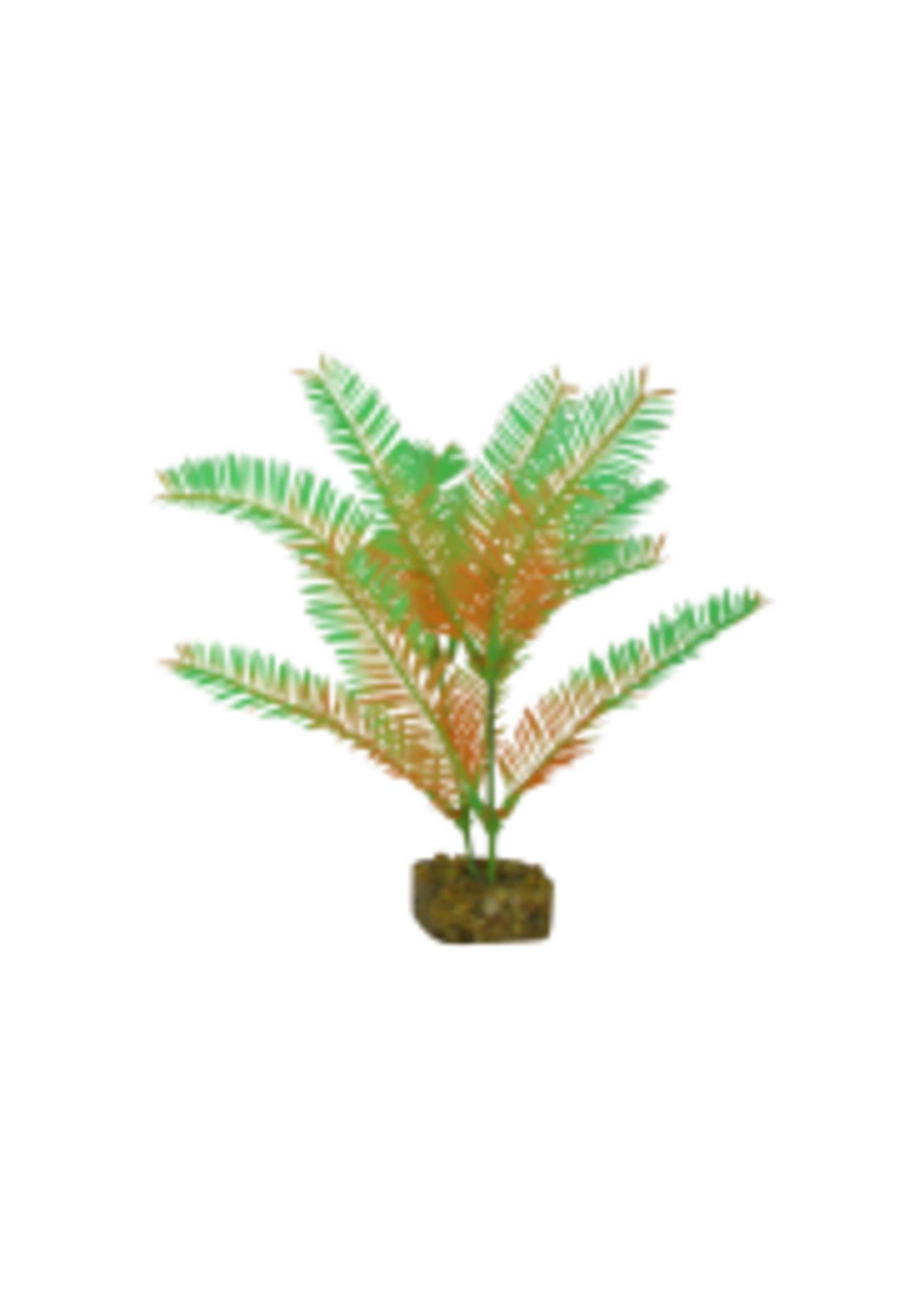 Tetra Tetra GloFish Plant Medium