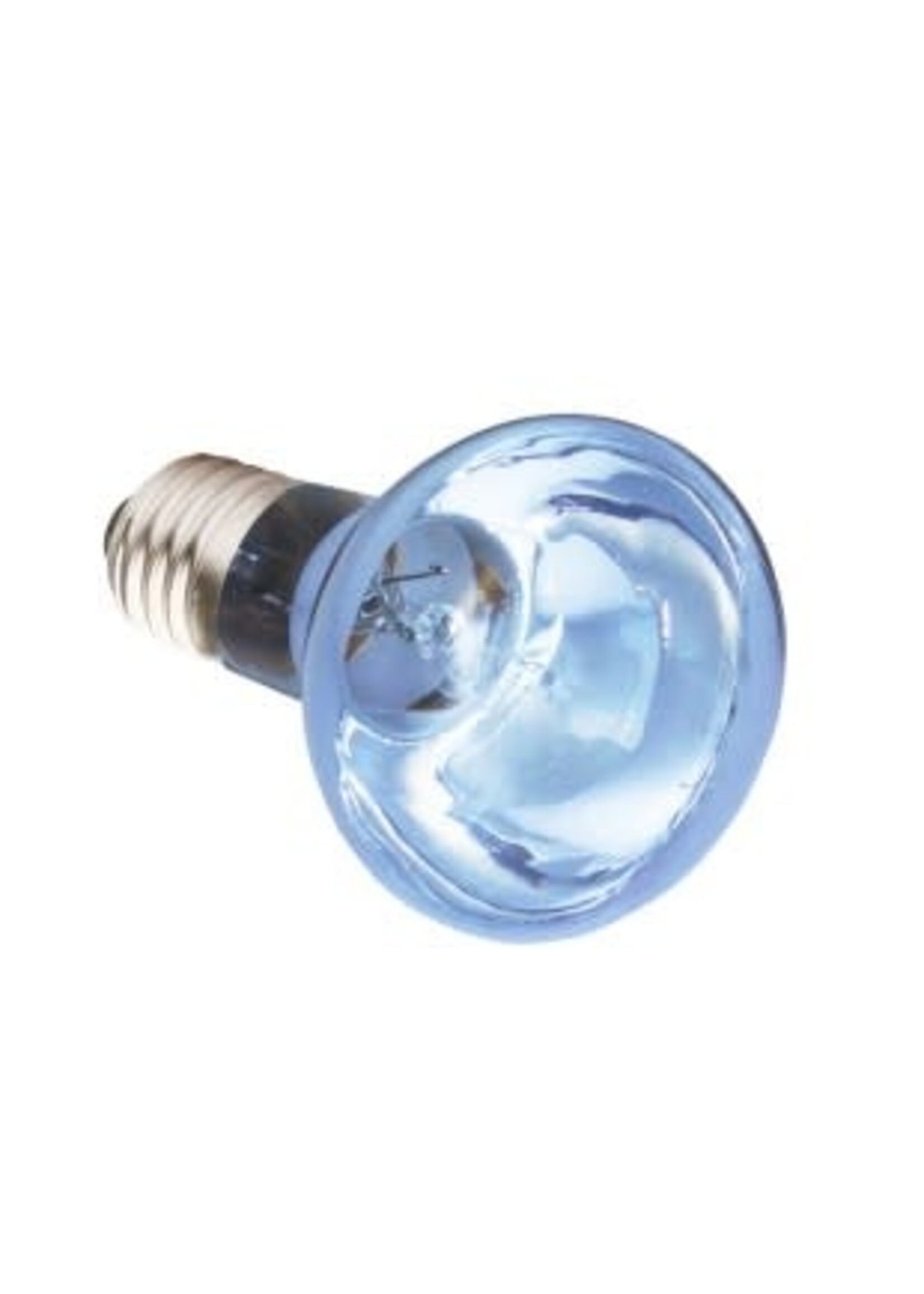 Komodo Komodo Neodymium Daylight Spot Bulb ES
