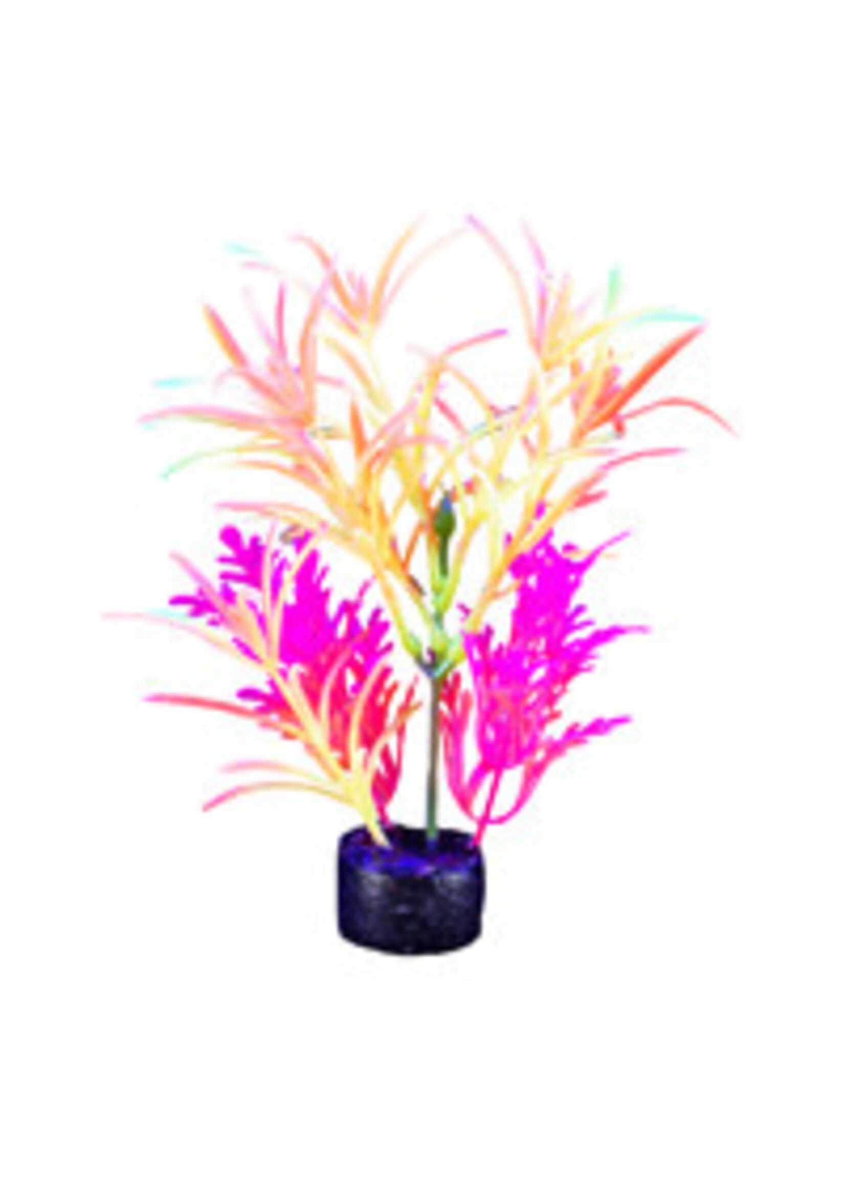 Marina Marina iGlo Plant