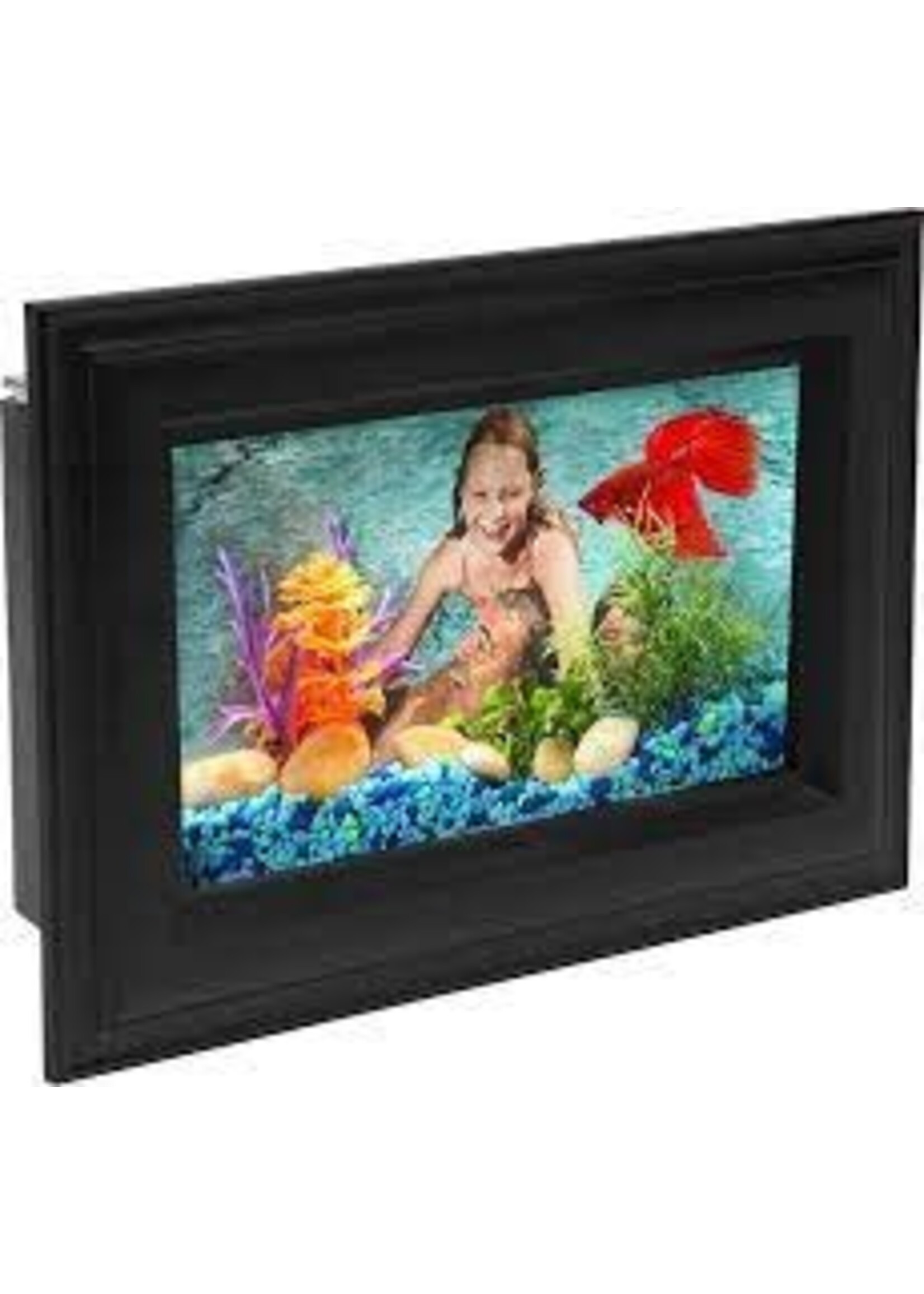 API API Betta Kit .7gallon Picture Frame LED