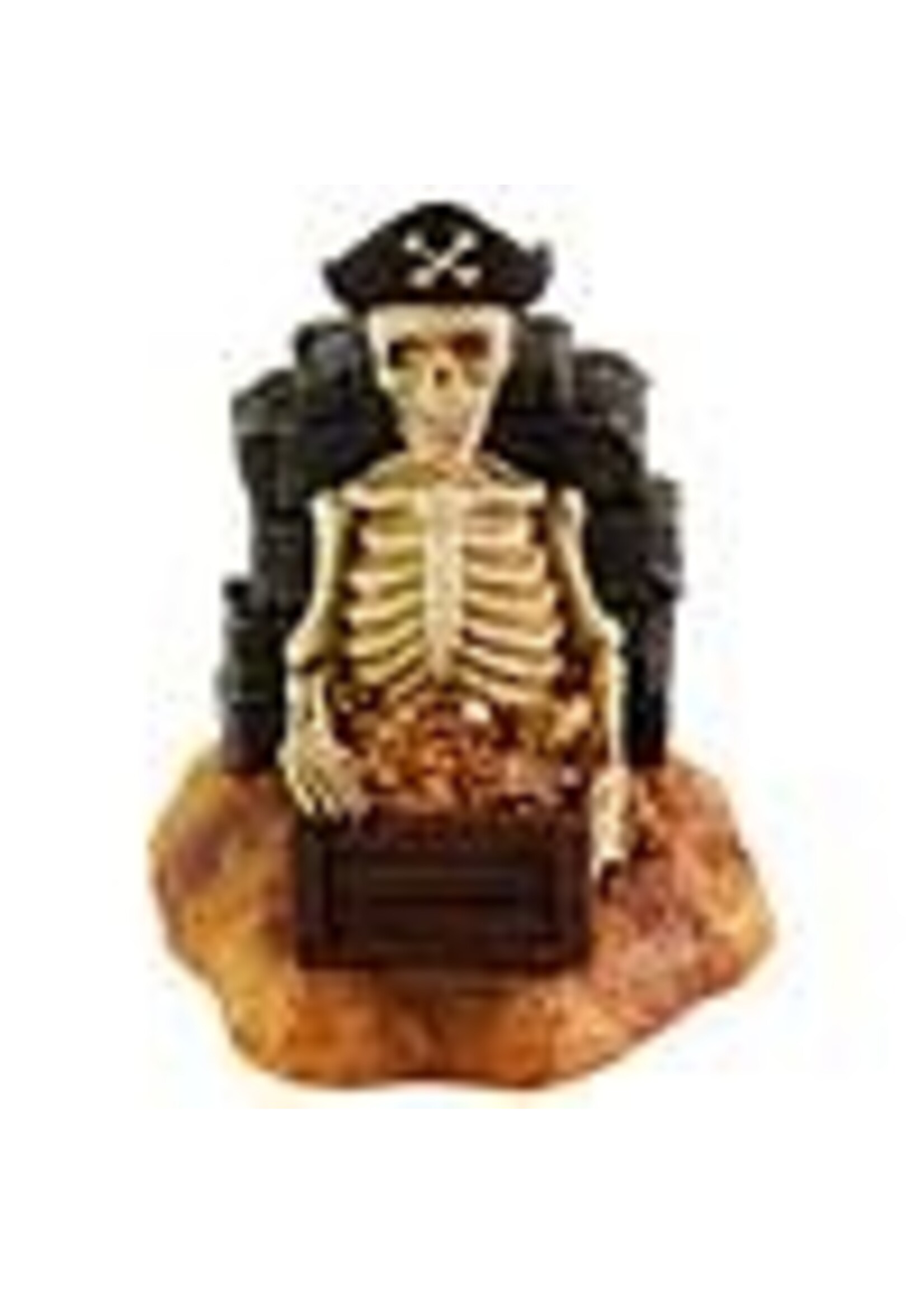 Aqua-Fit Aqua-Fit Polyresin Pirate Skeleton 3.5 x 3.5 x 4.5"