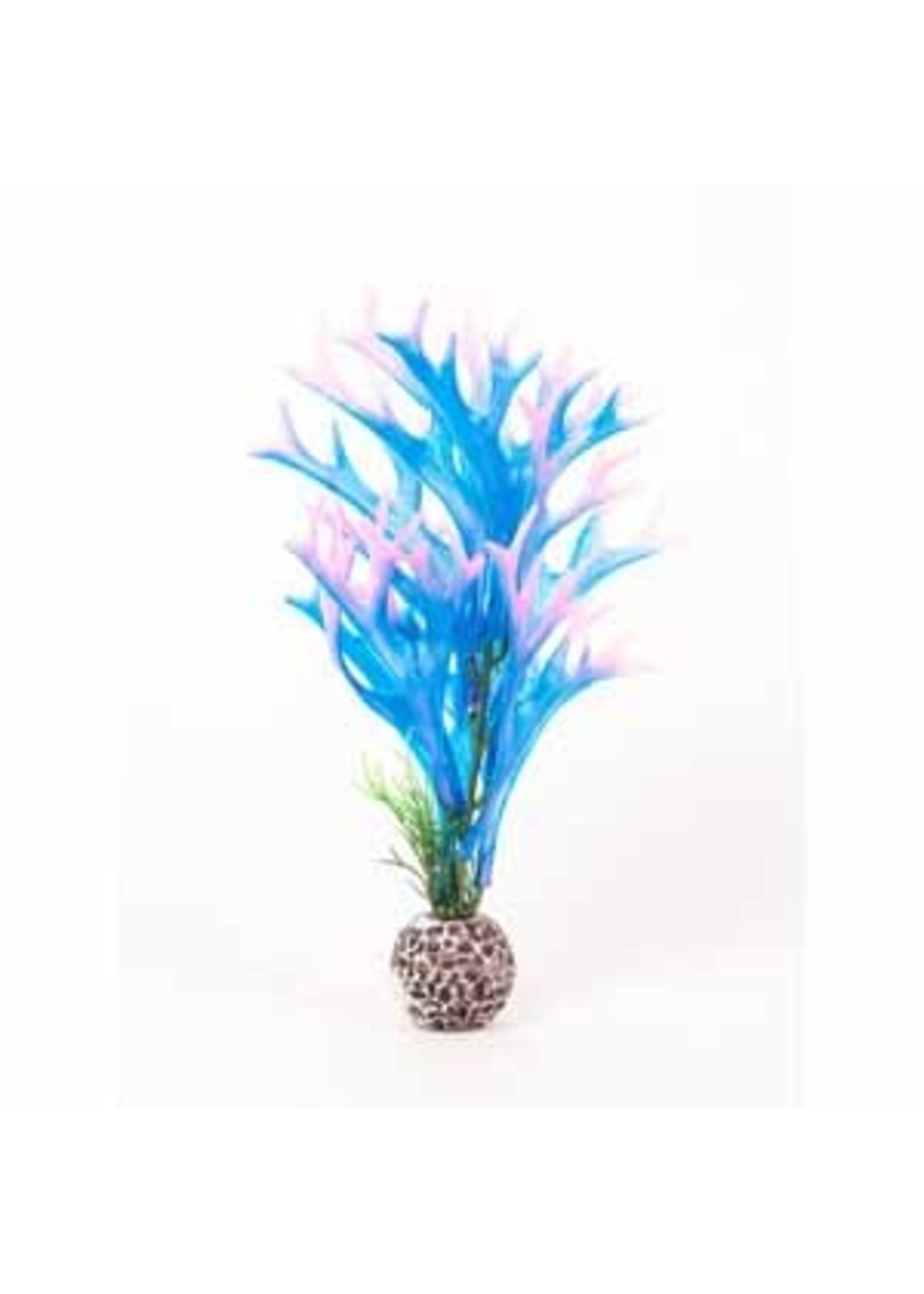 Aquatop Aquatop Staghorn Plant 8" Multi Colour Blue/Pink