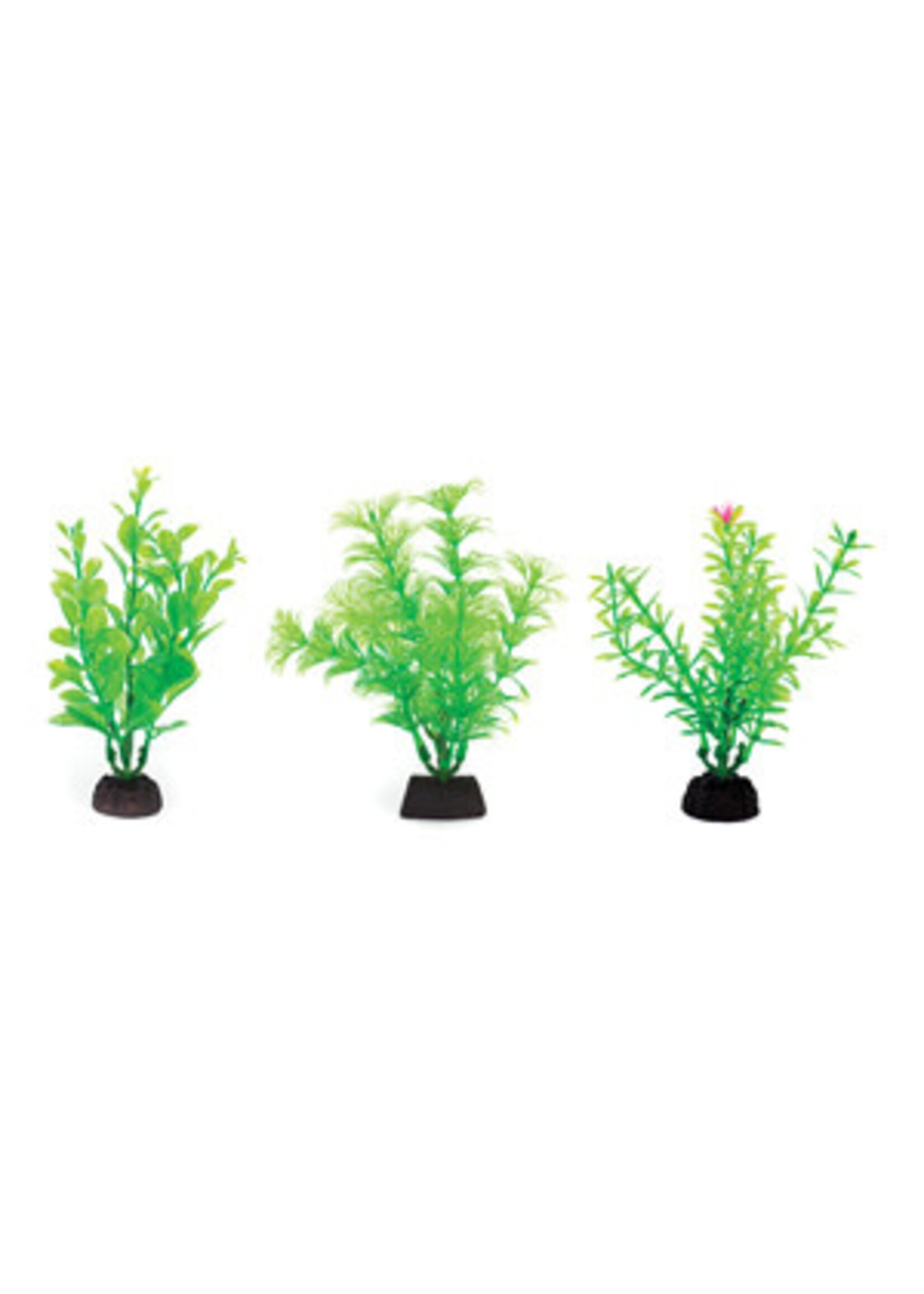 Penn Plax Penn Plax Aqua Plants 4in 6pack