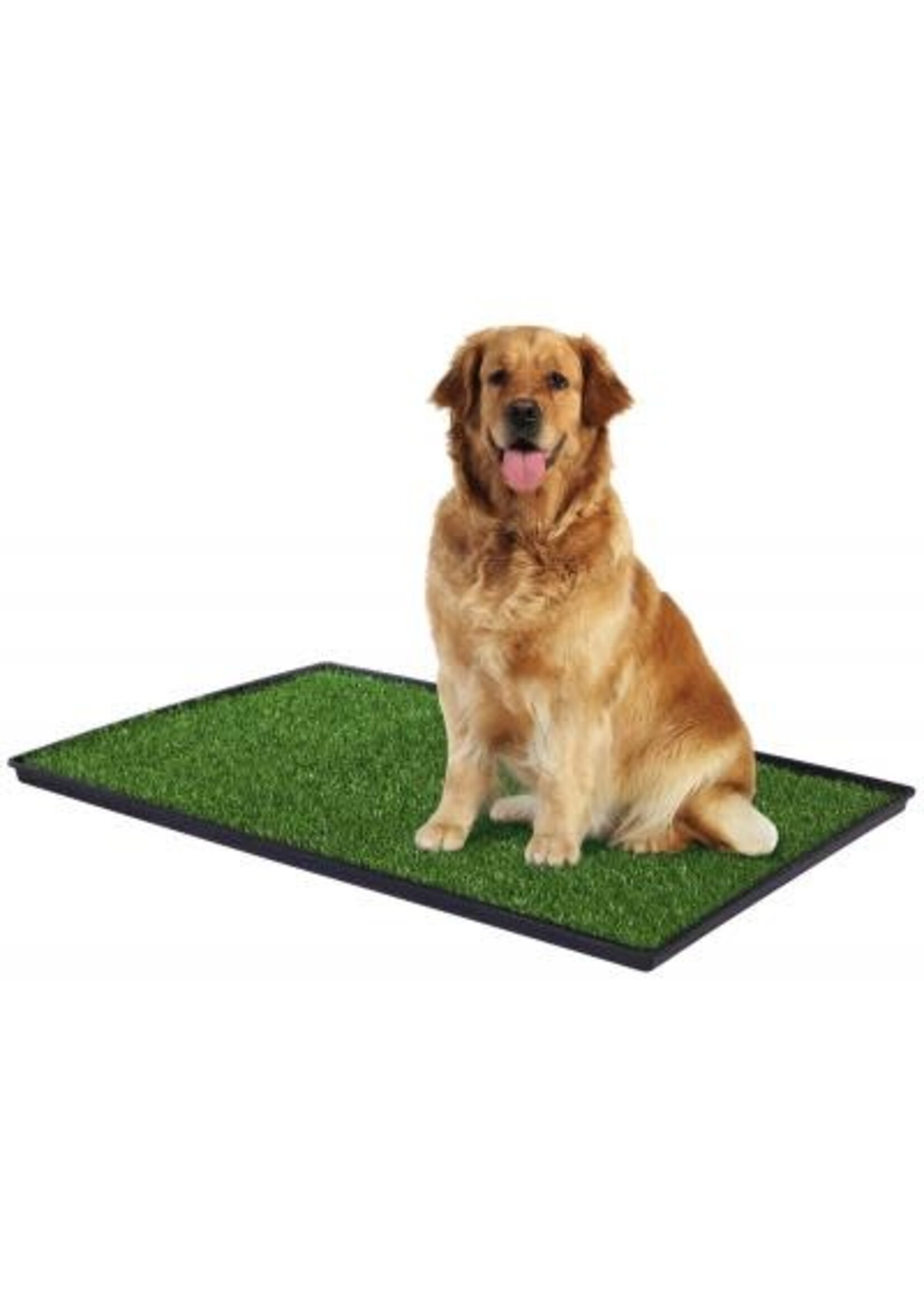Prevue Hendryx Prevue Hendryx Tinkle Turf