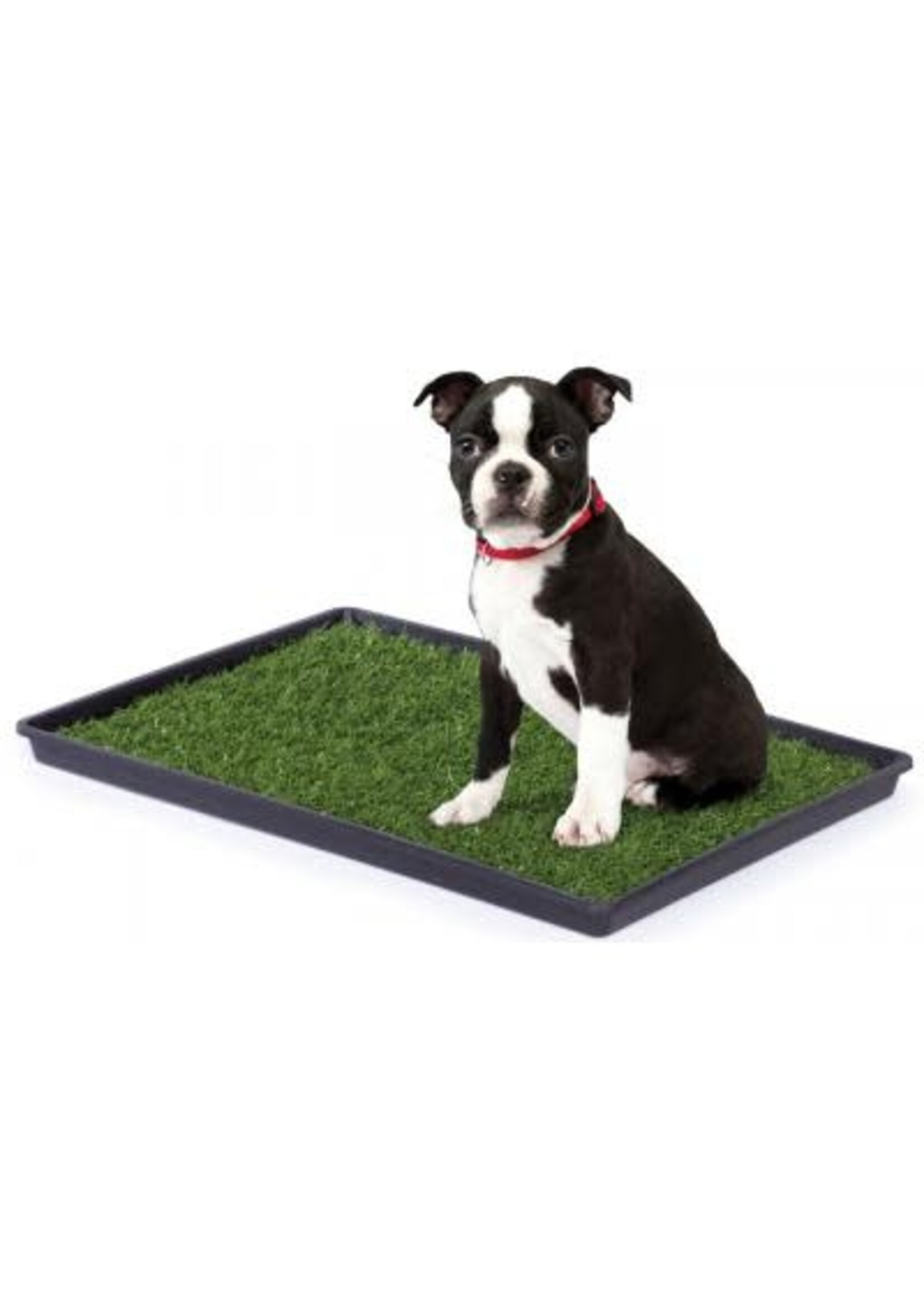 Prevue Hendryx Prevue Hendryx Tinkle Turf