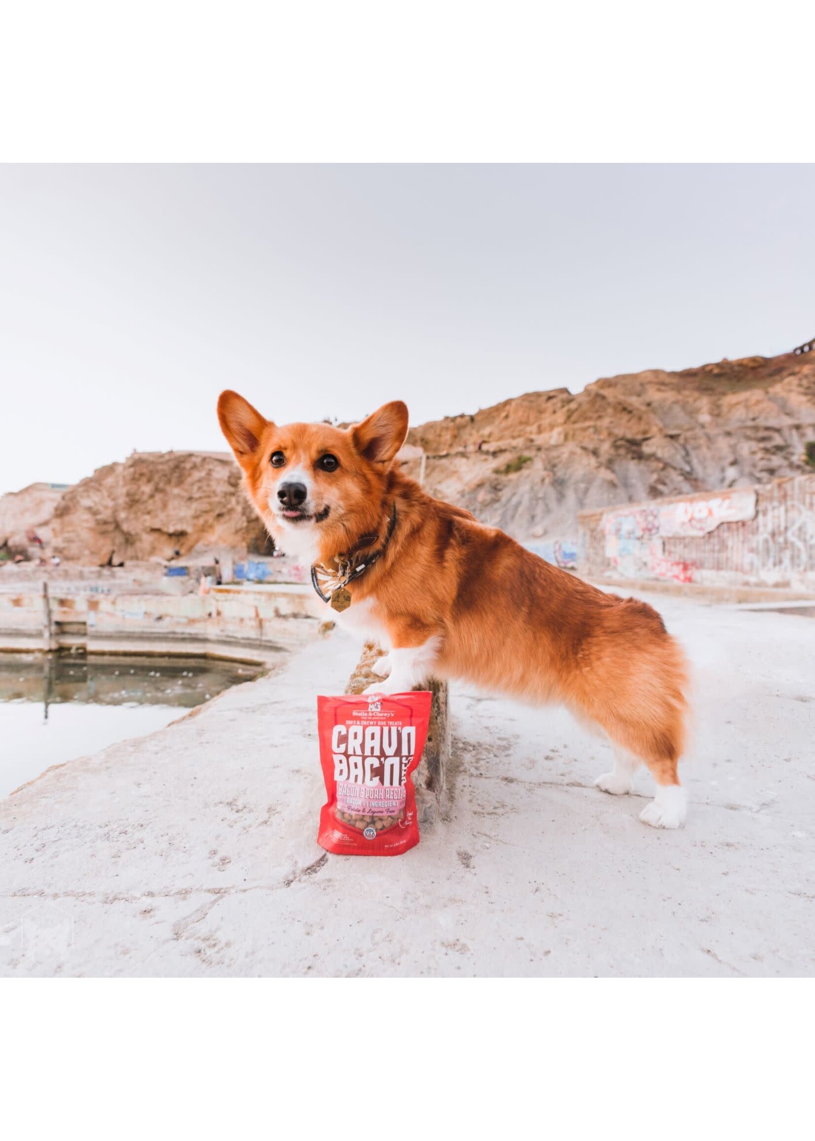 Stella and Chewy's Stella & Chewy's Crav'n Bac'n Bites Bacon & Pork 8.25oz