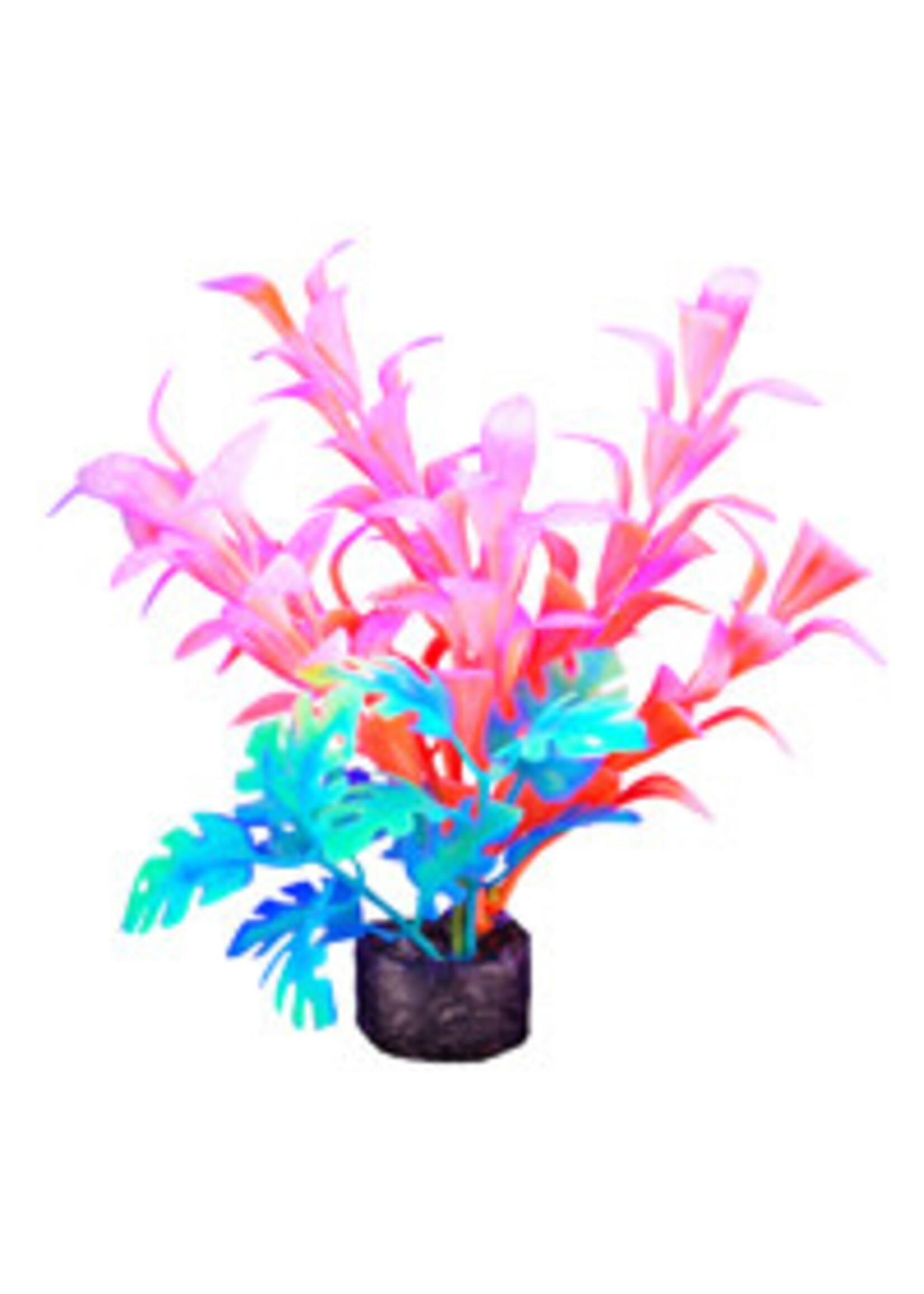 Marina Marina iGlo Plant 5.5 in