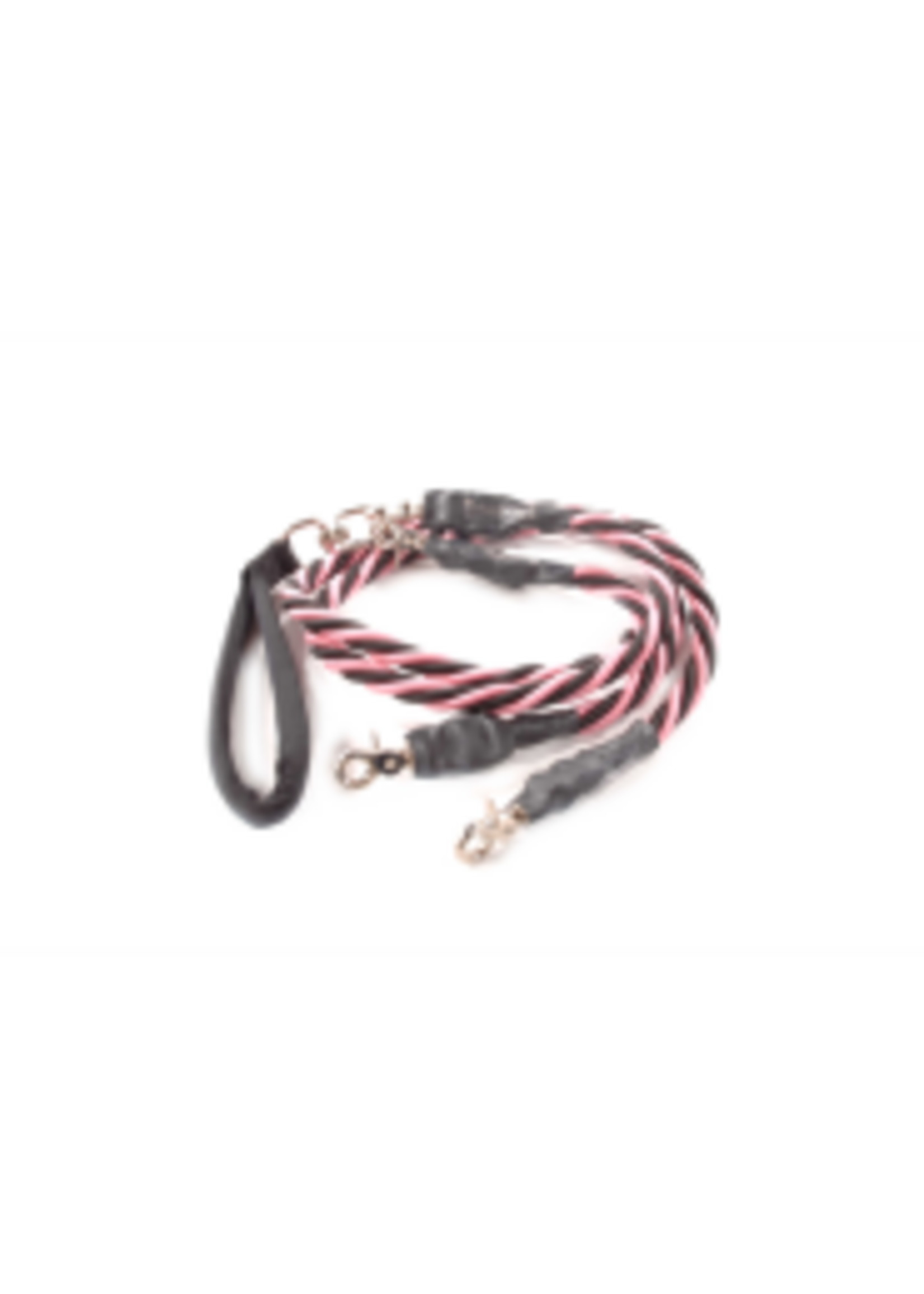 Bungee PupEE Double Leash