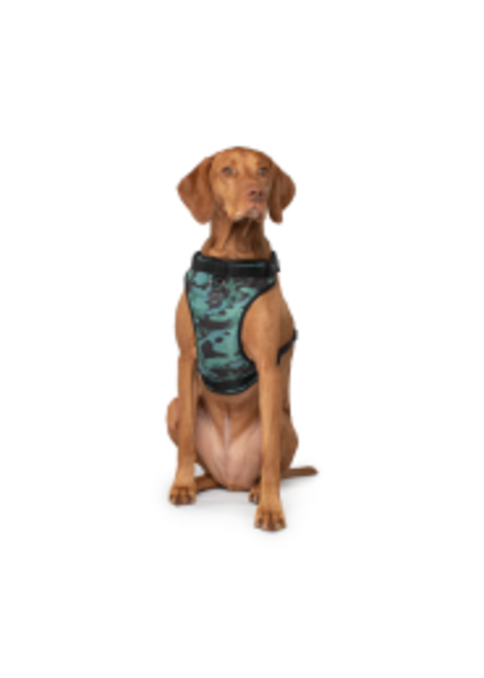 Canada Pooch Canada Pooch Everything Harness Water-Resistant Camo