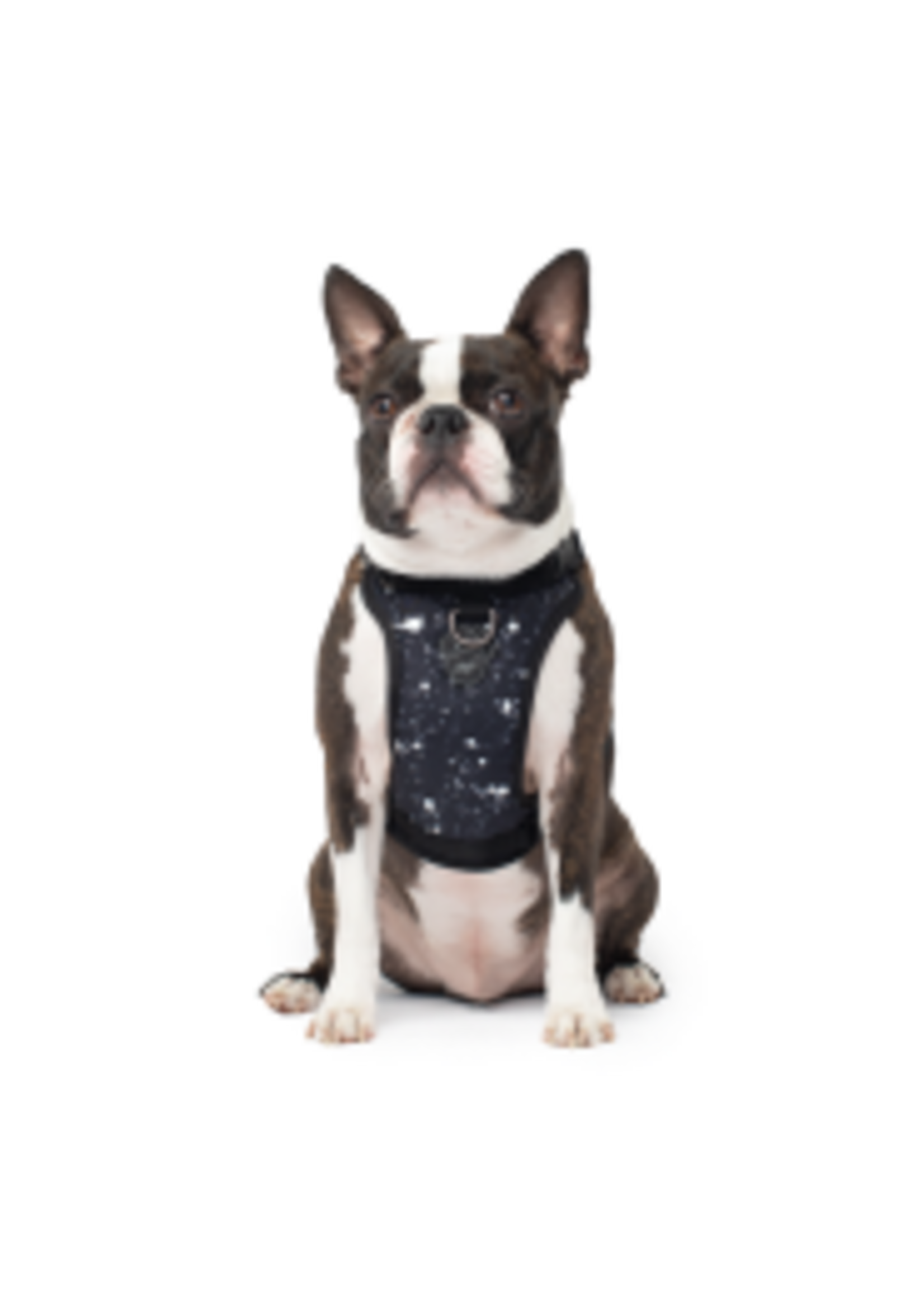 Canada Pooch Canada Pooch Everything Harness Water-Resistant Splatter