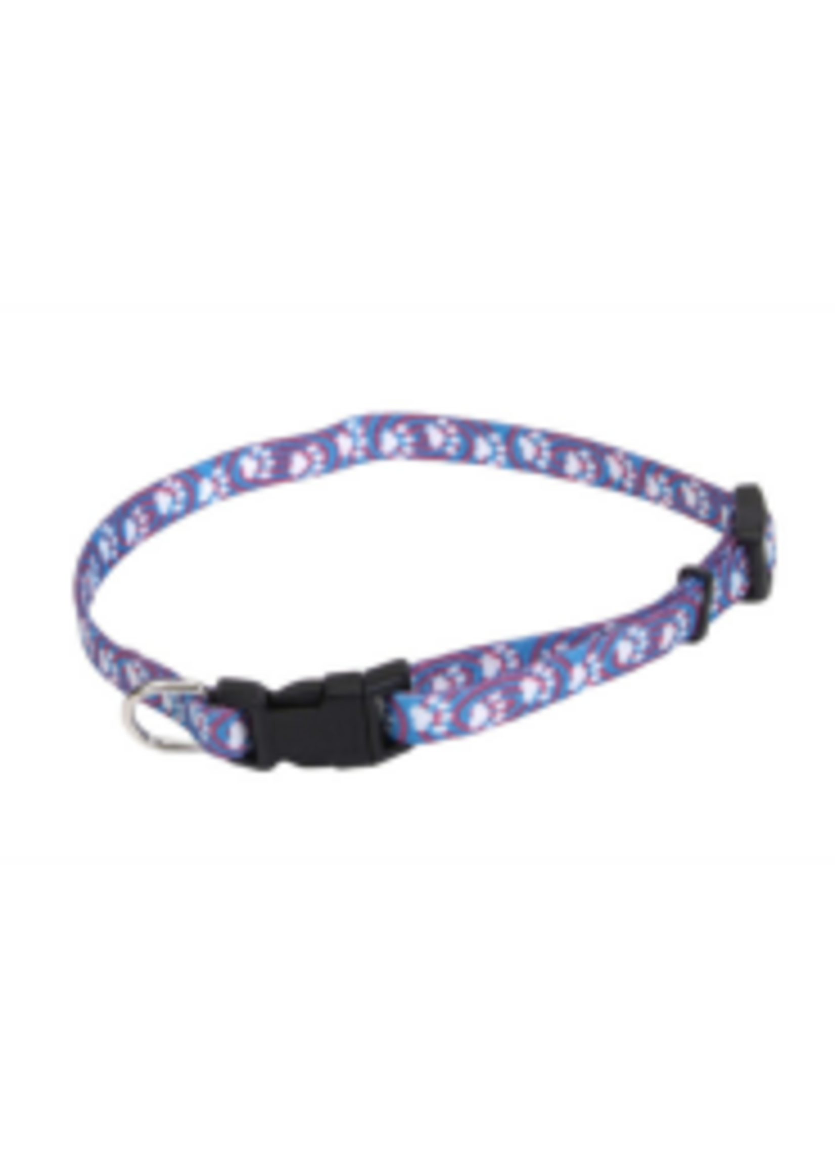 Coastal Pet Products Inc. Li'l Pals Printed Pattern Adjustable Nylon Collar