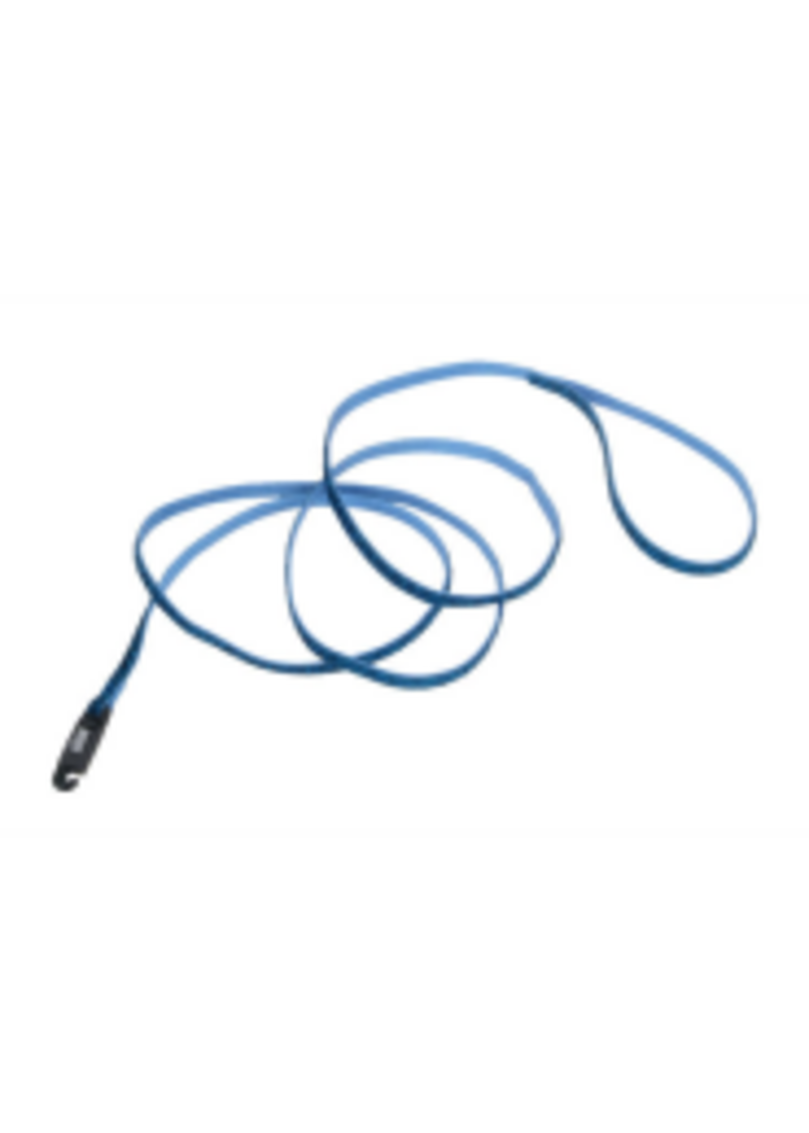 Coastal Pet Products Inc. Li'l Pals Leash w/ Glitter  3/8" x 6'