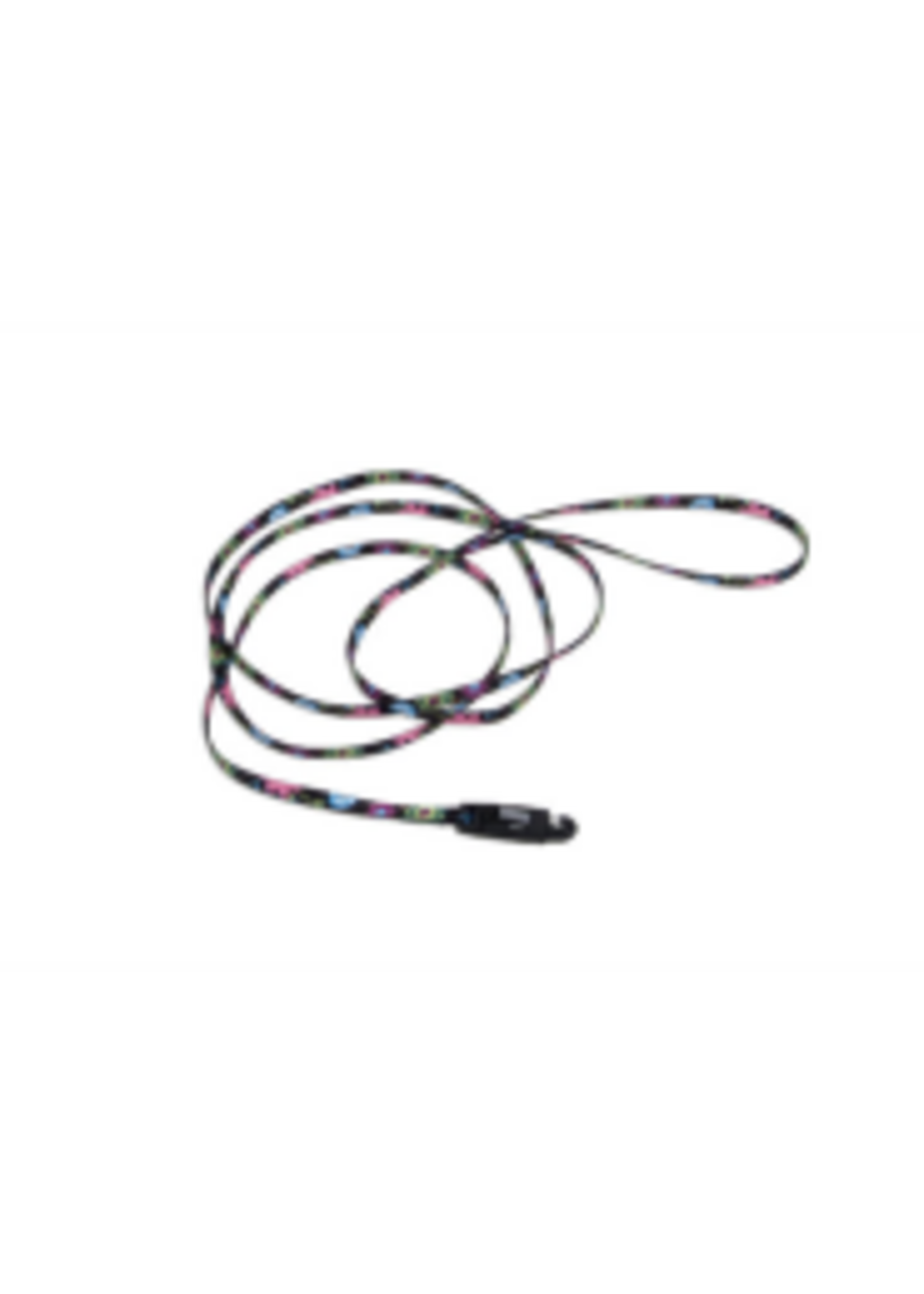 Coastal Pet Products Inc. Li'l Pals Pattern Nylon Leash w/ E-Z Snap