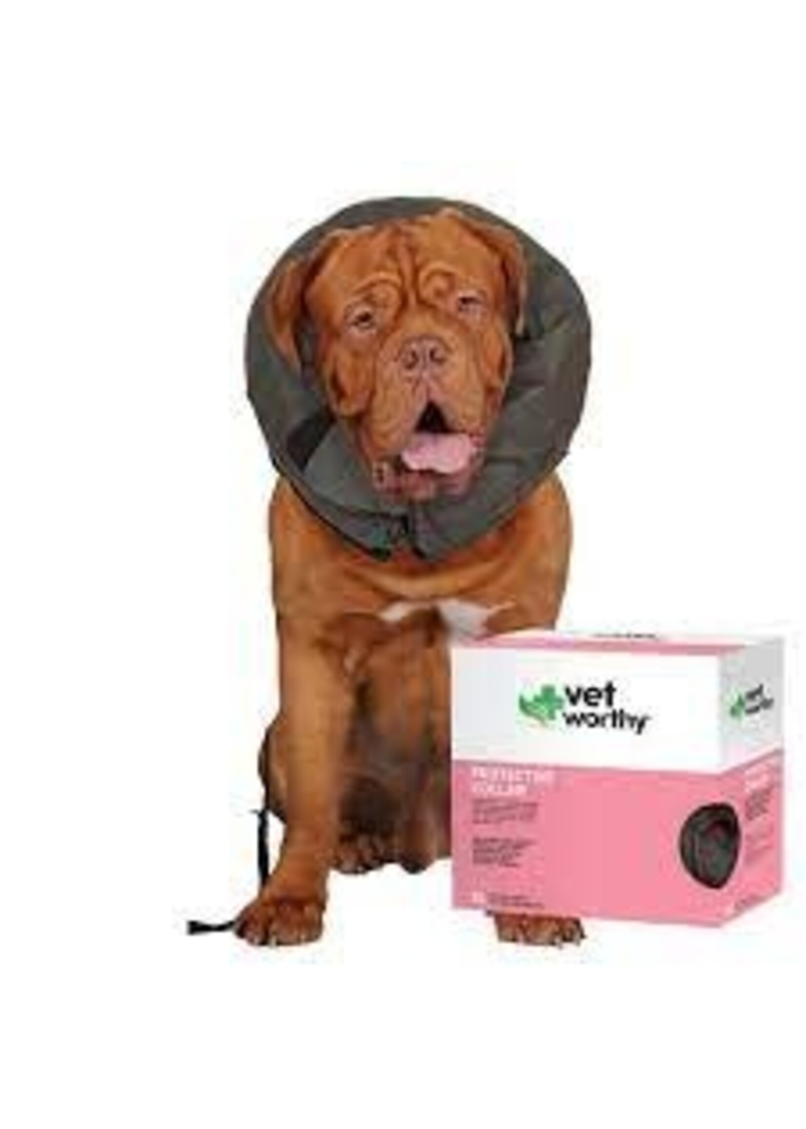 Vet Worthy Vet Worthy Pet Protective Collar