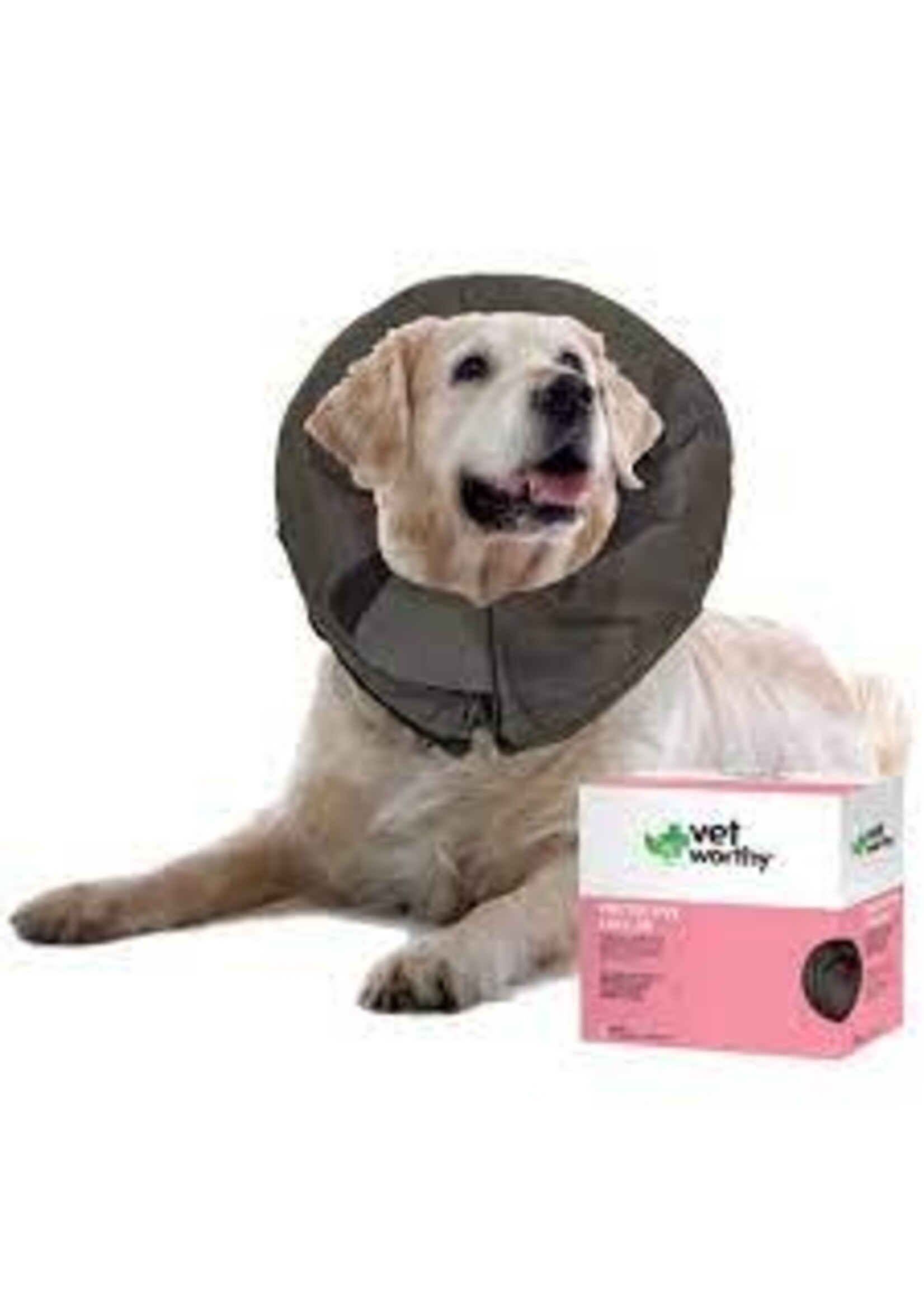 Vet Worthy Vet Worthy Pet Protective Collar