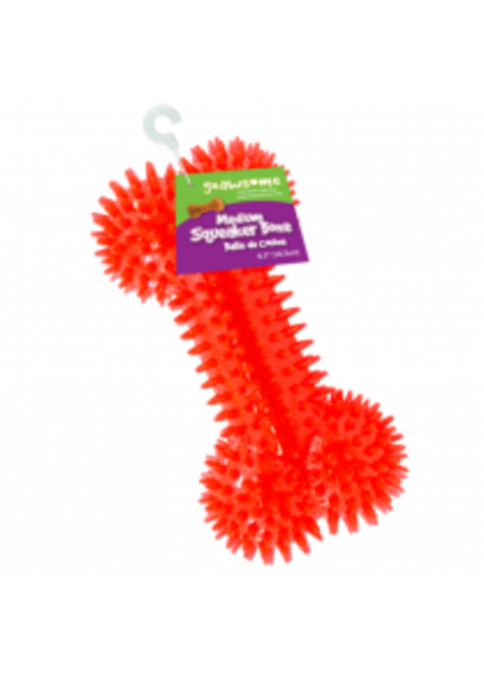 Gnawsome Gnawsome Squeaker Bone