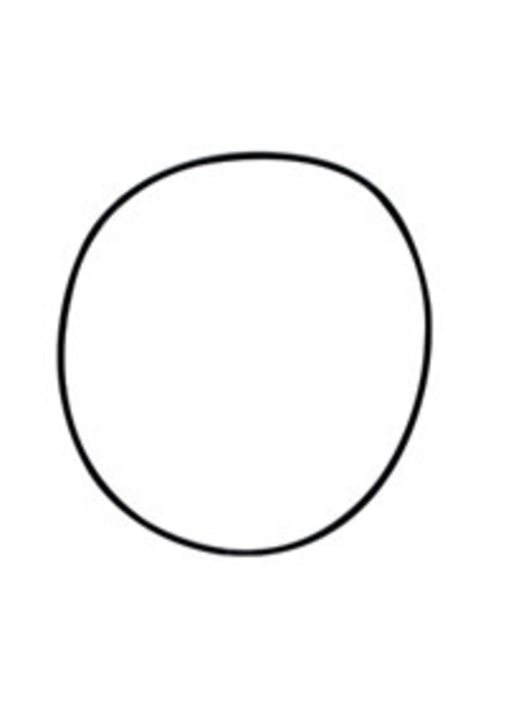 Laguna Laguna O-Ring Lid Seal for Pressure-Flo 700/1400 (PT1535)