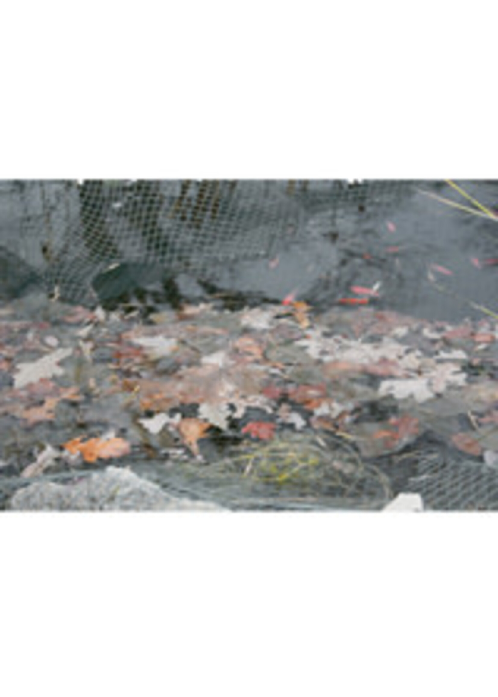 Laguna Laguna Protective Pond Netting 15 x 20ft Black (PT954)