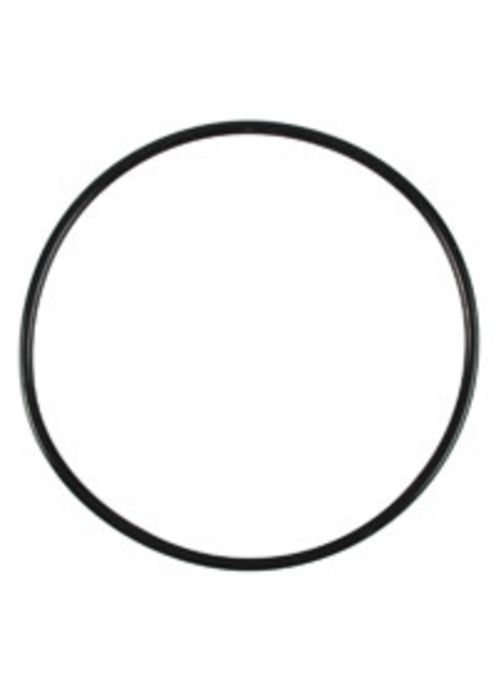 Fluval Fluval Motor Head Gasket for 05/06/07 Filters (A20064)