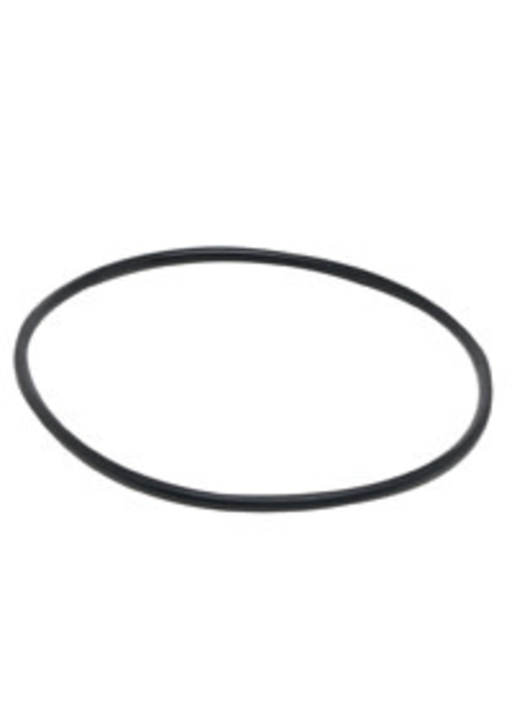 Fluval Fluval Motor Seal Ring (A20038)