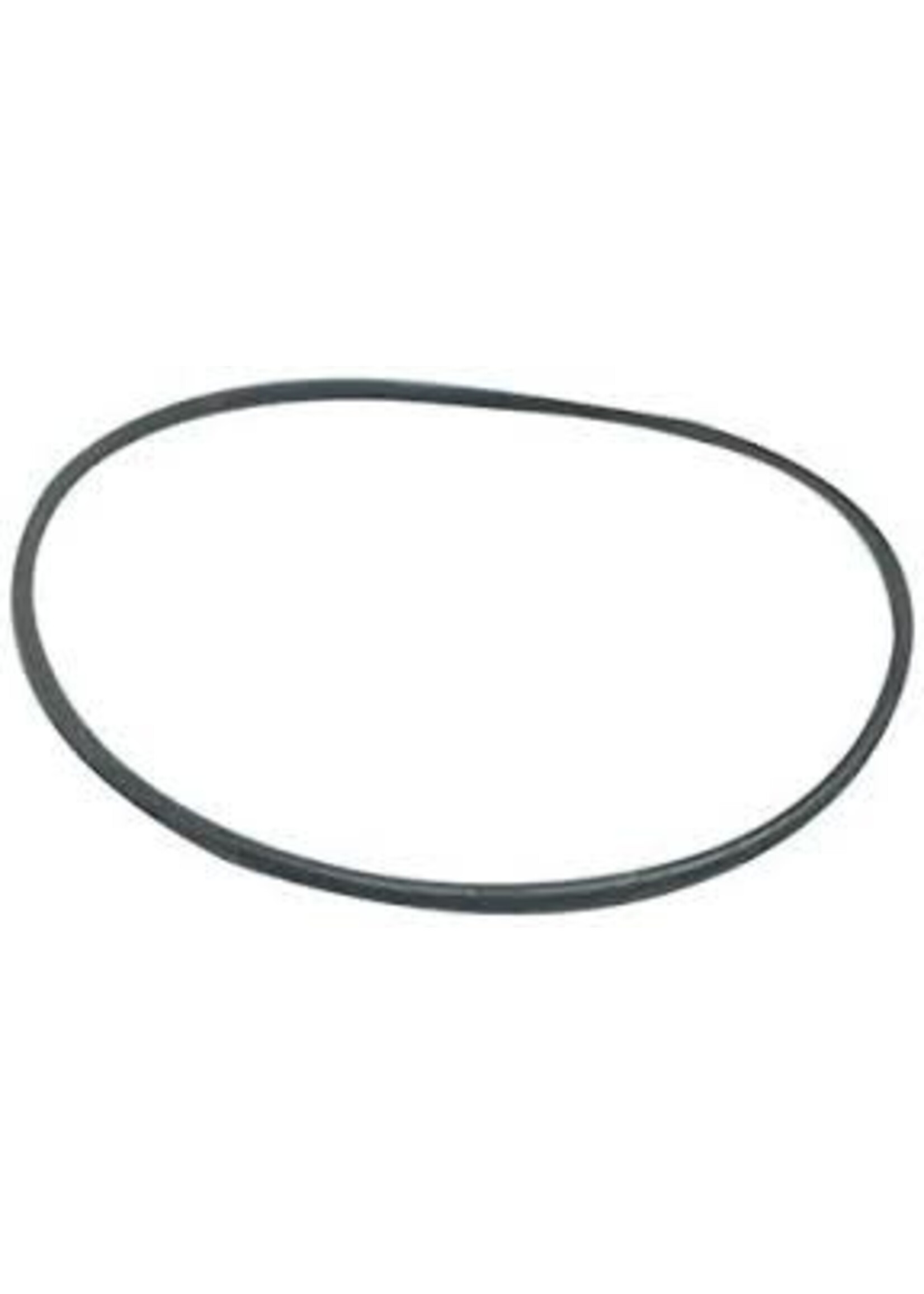 Fluval Fluval 303 Seal Ring Part (A15870)