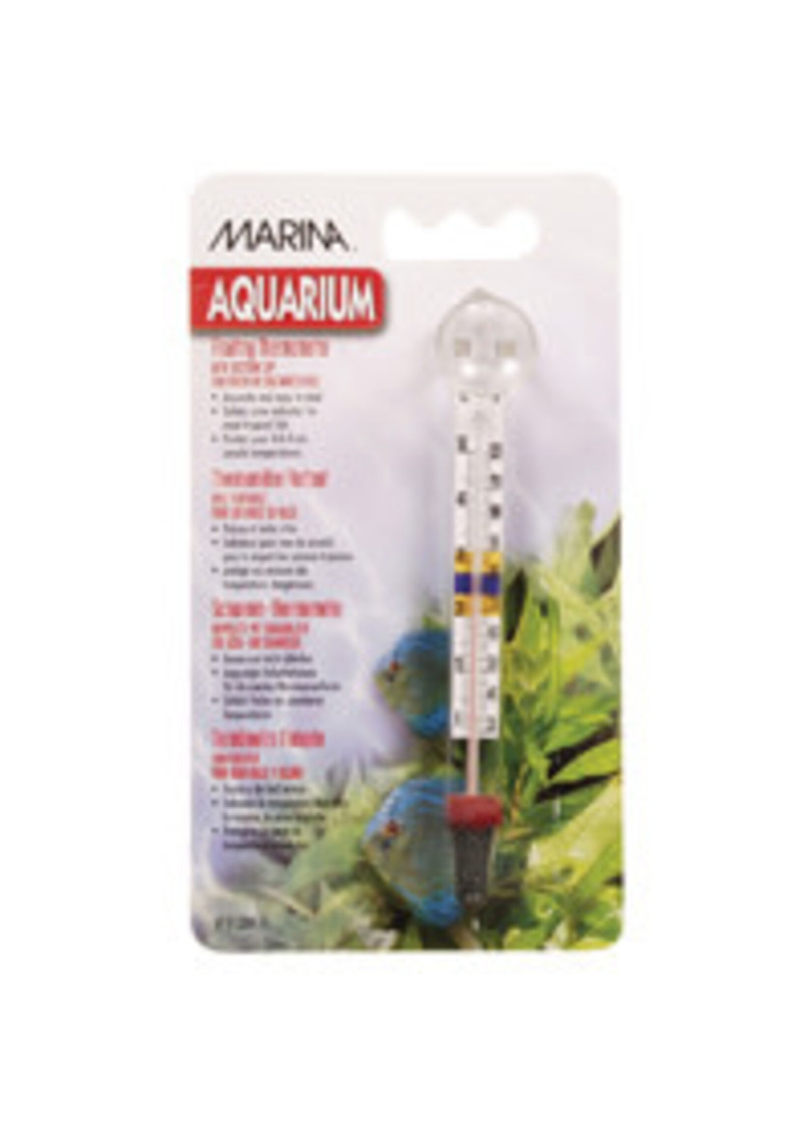 Marina Marina Large Floating Thermometer w/Suction Cup-Centigrad-Fahrenheit