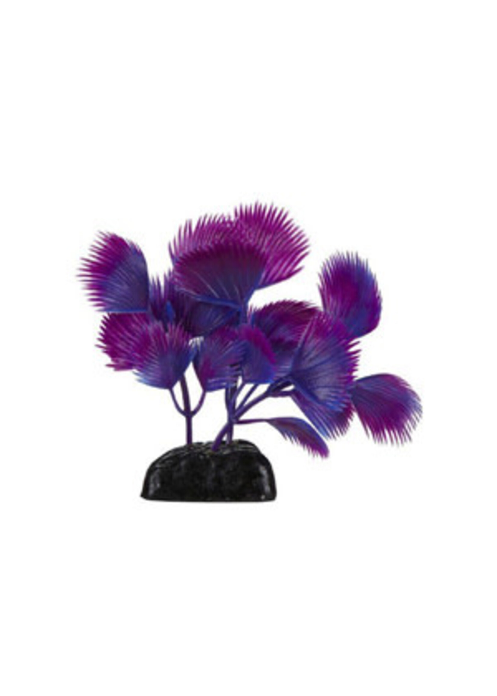 Penn Plax Penn Plax Betta Foreground Plant