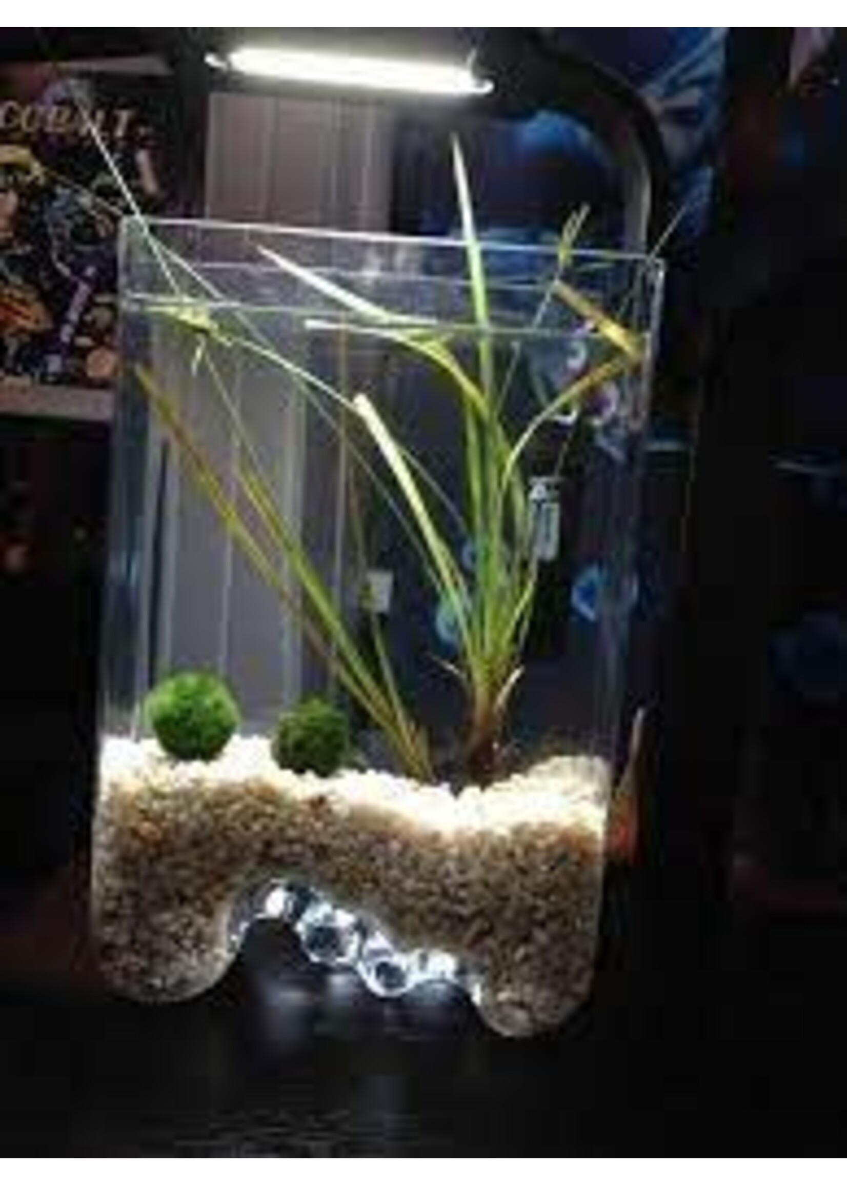 Colbalt Aquatics Cobalt Aquatics Decoria Tall Wave 1.05g