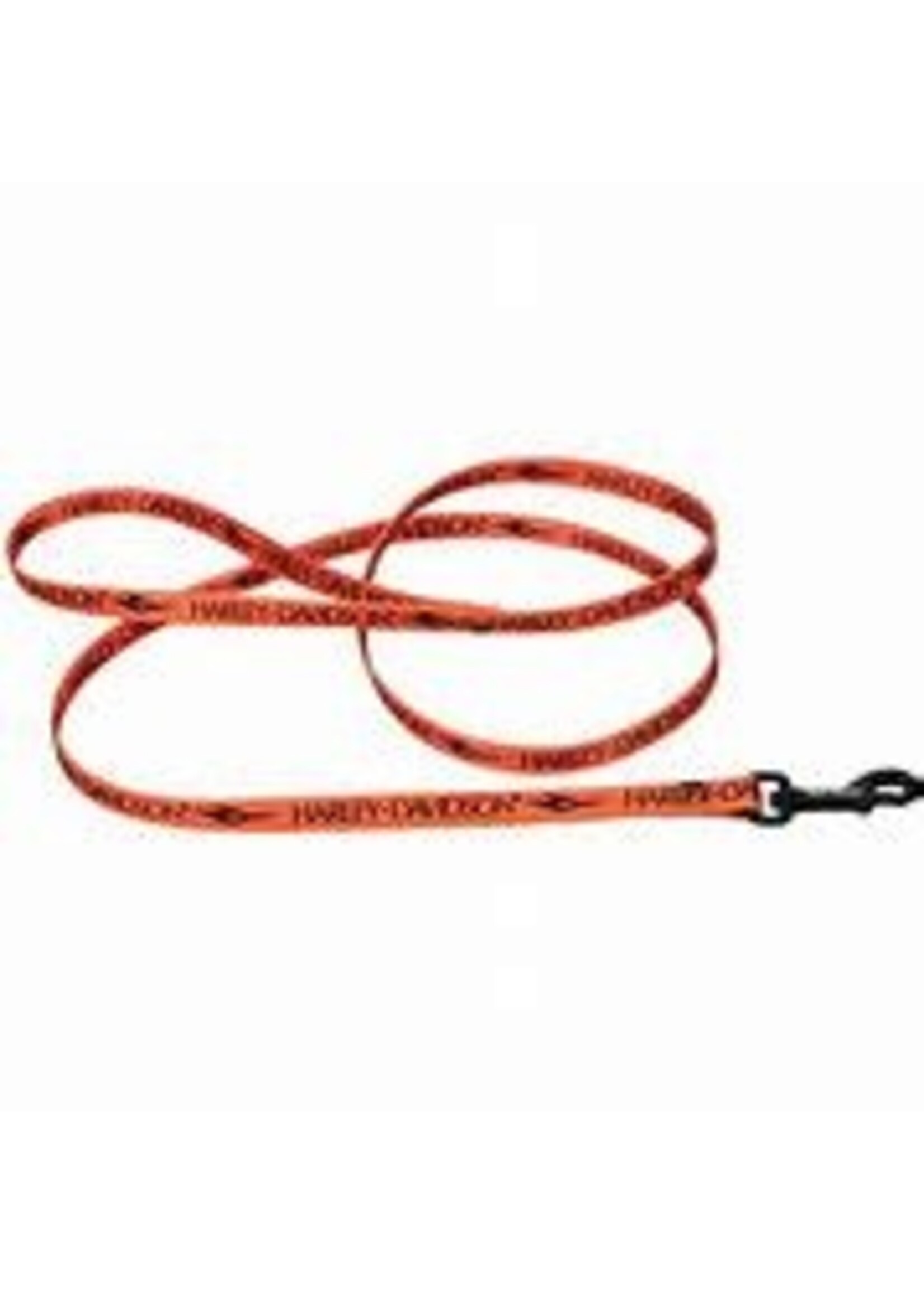 Coastal Pet Products Inc. Coastal Harley Davidson Nylon Lead
