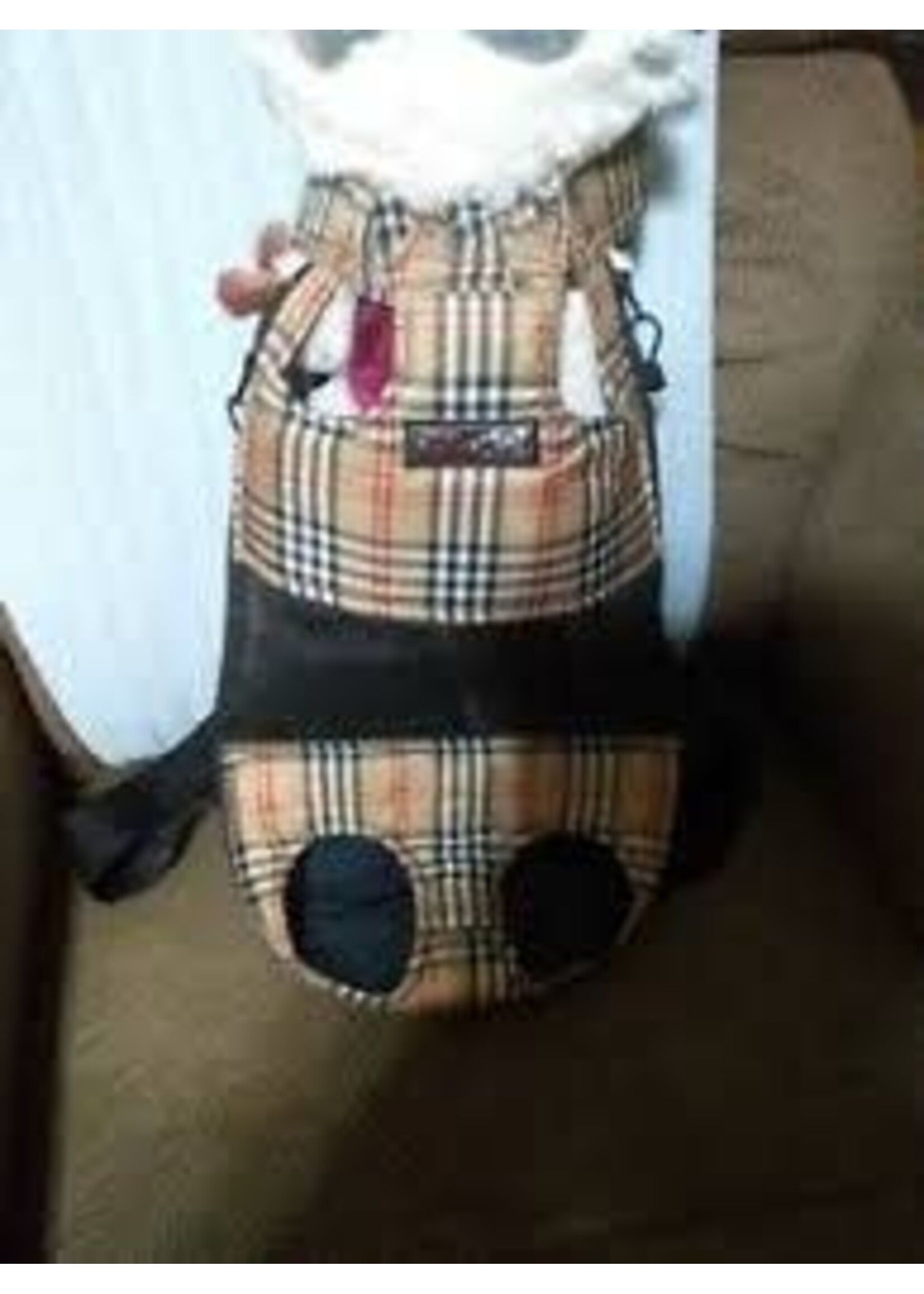 Daba doo Daba Doo Pooch Pack