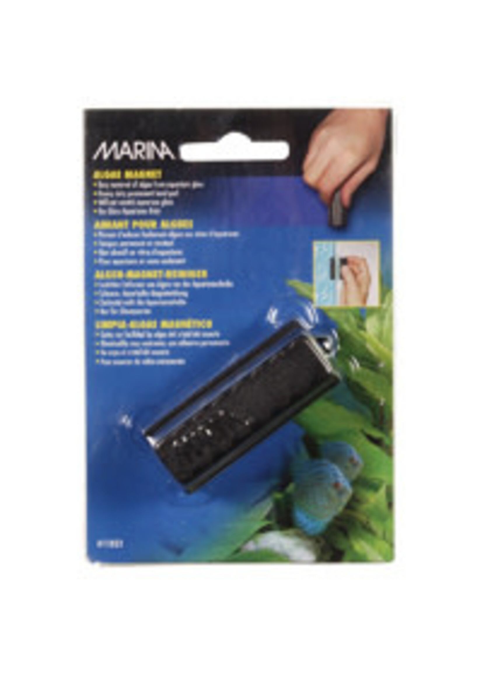 Marina Marina Algae Magnet