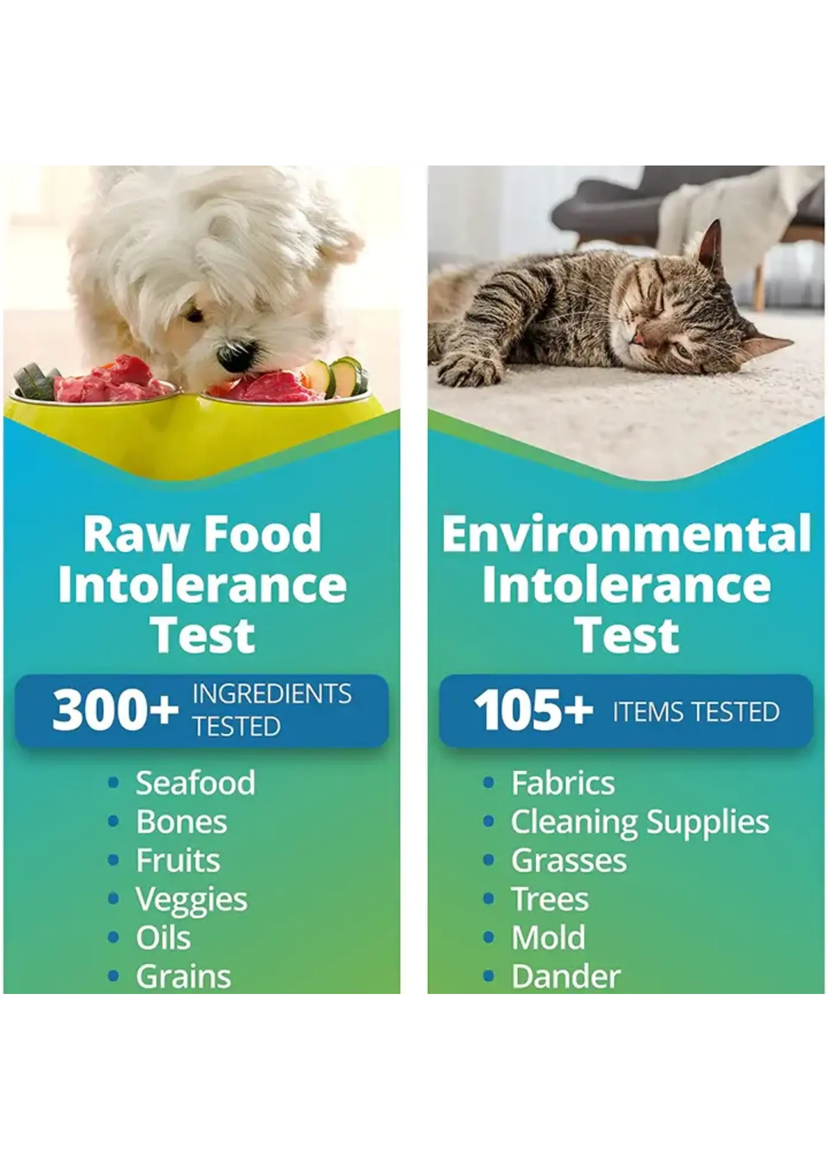 5Strands 5Strands Raw Food & Enviromental Intolerance Test