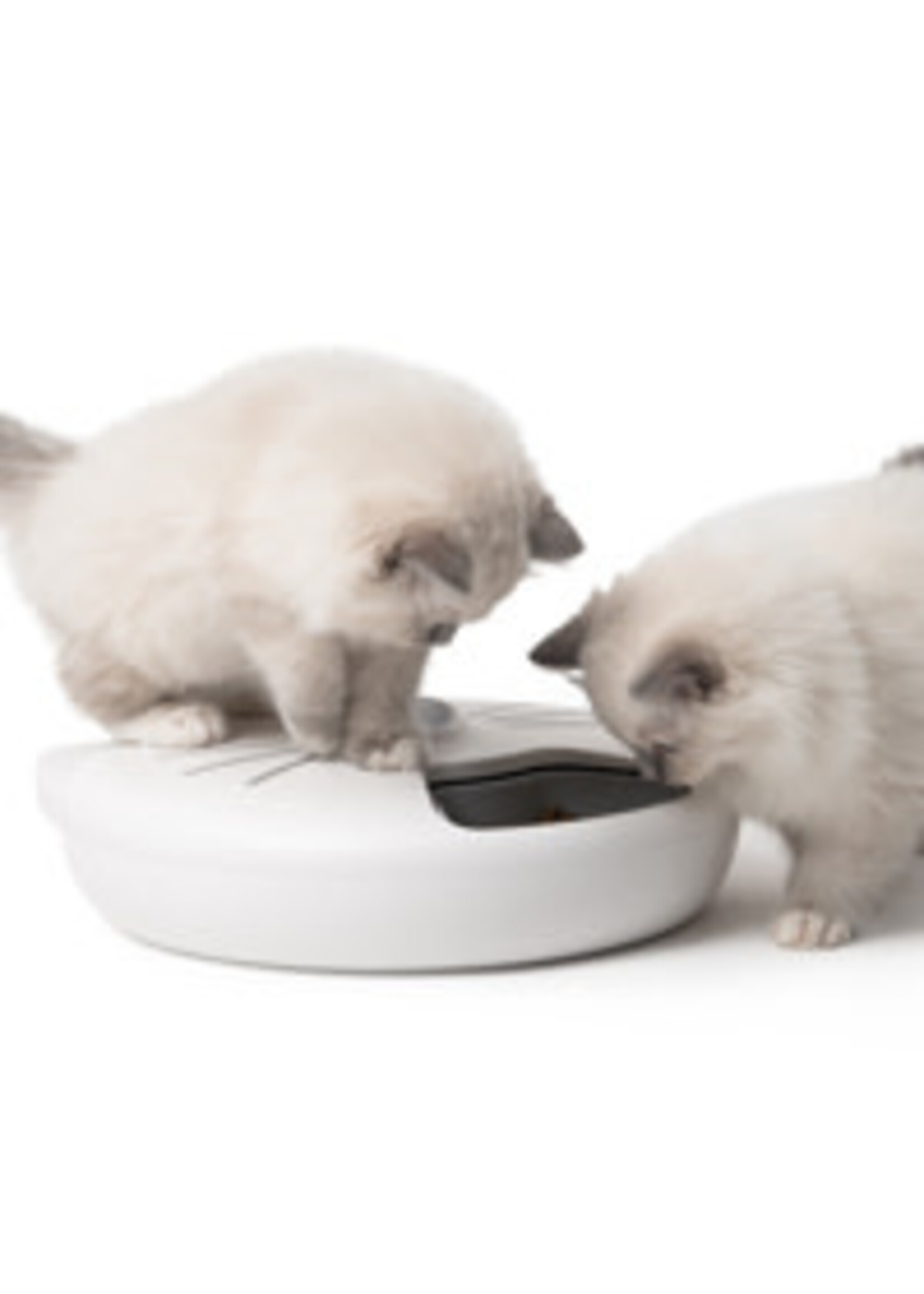 Catit Catit Pixi Smart 6 Meal Feeder
