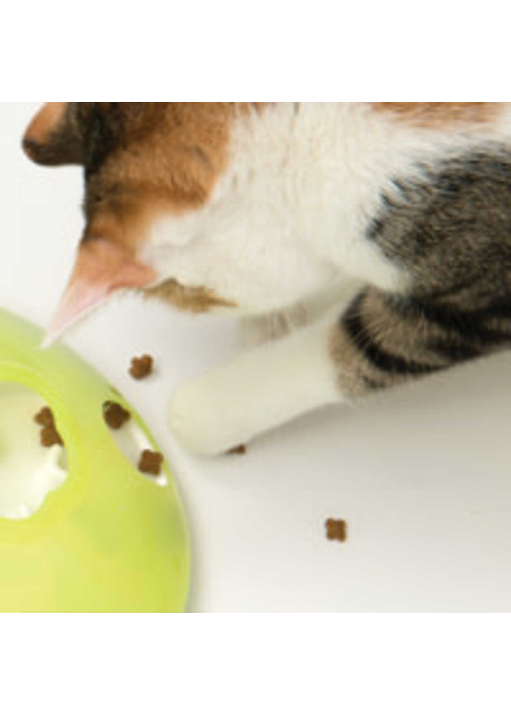 Catit Catit Play Treat Spinner