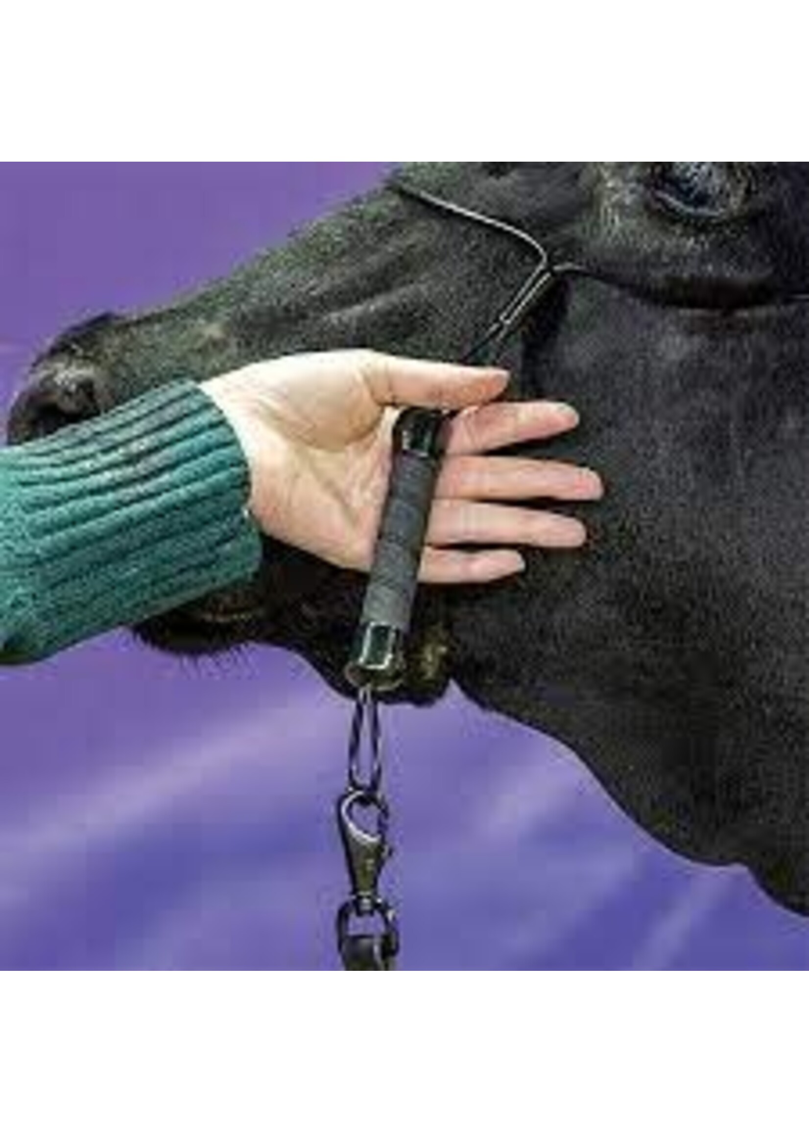 Sullivan Supply Sullivan Supply Strong Hold Cable Halter