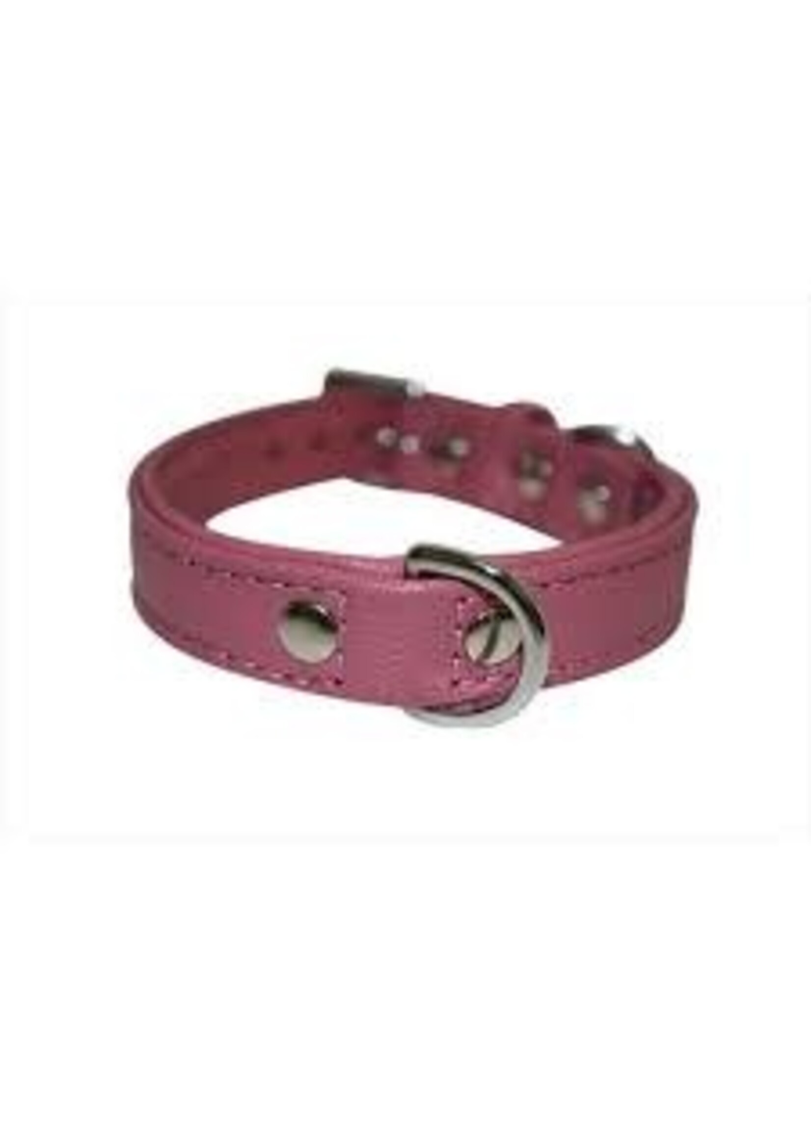 Angel Pet Supplies Angel Alpine Collar