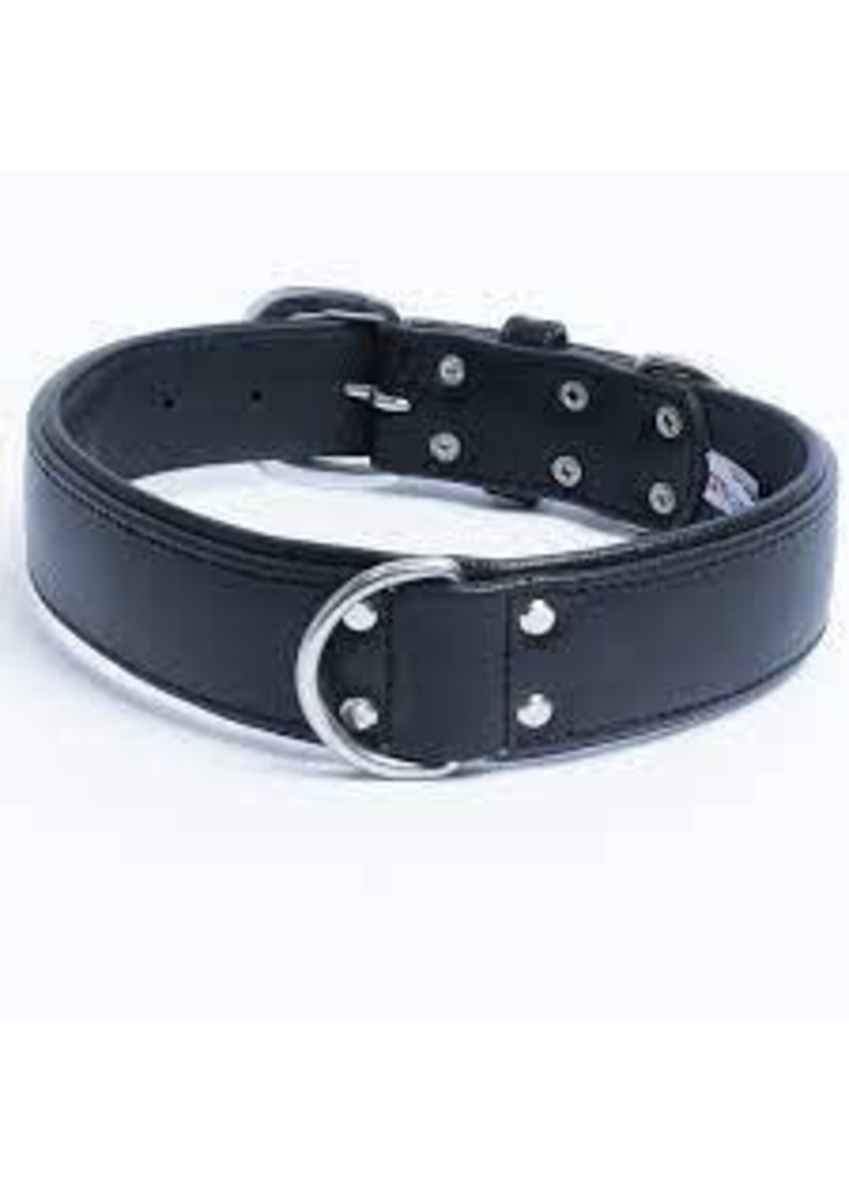 Angel Pet Supplies Angel Dallas Collar