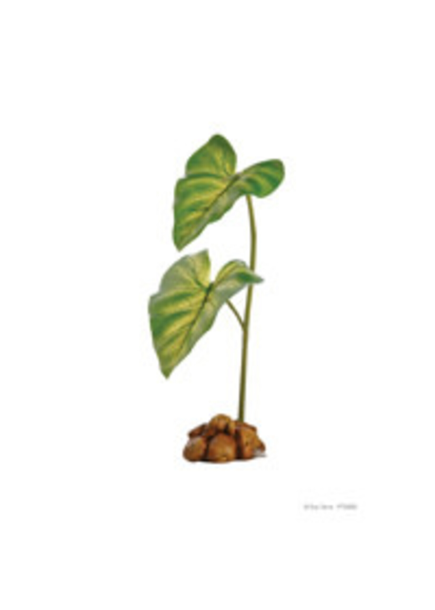 Exo Terra Exo Terra Dripper Plant