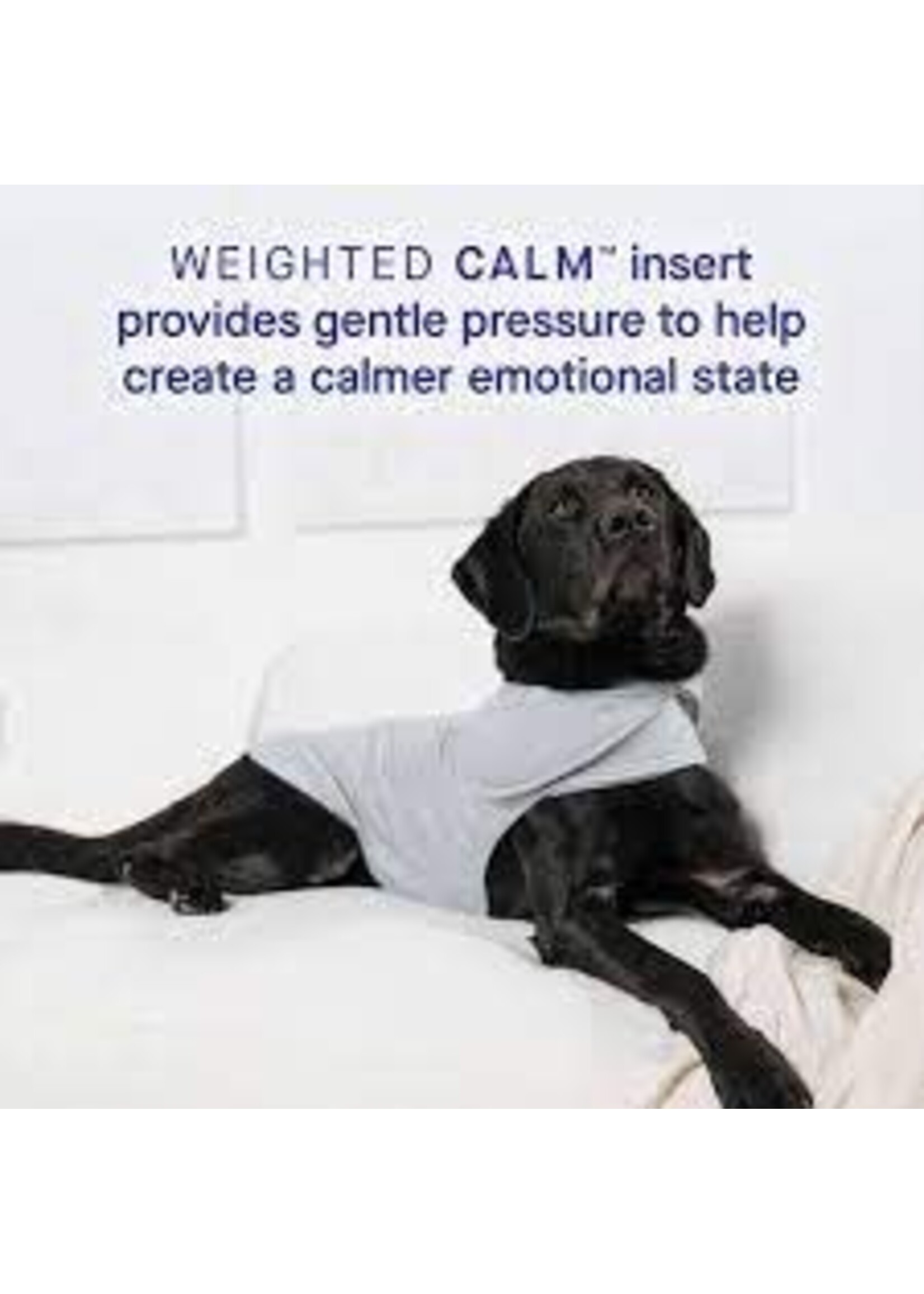 Canada Pooch Canada Pooch Core Weighted Calming Vest Grey